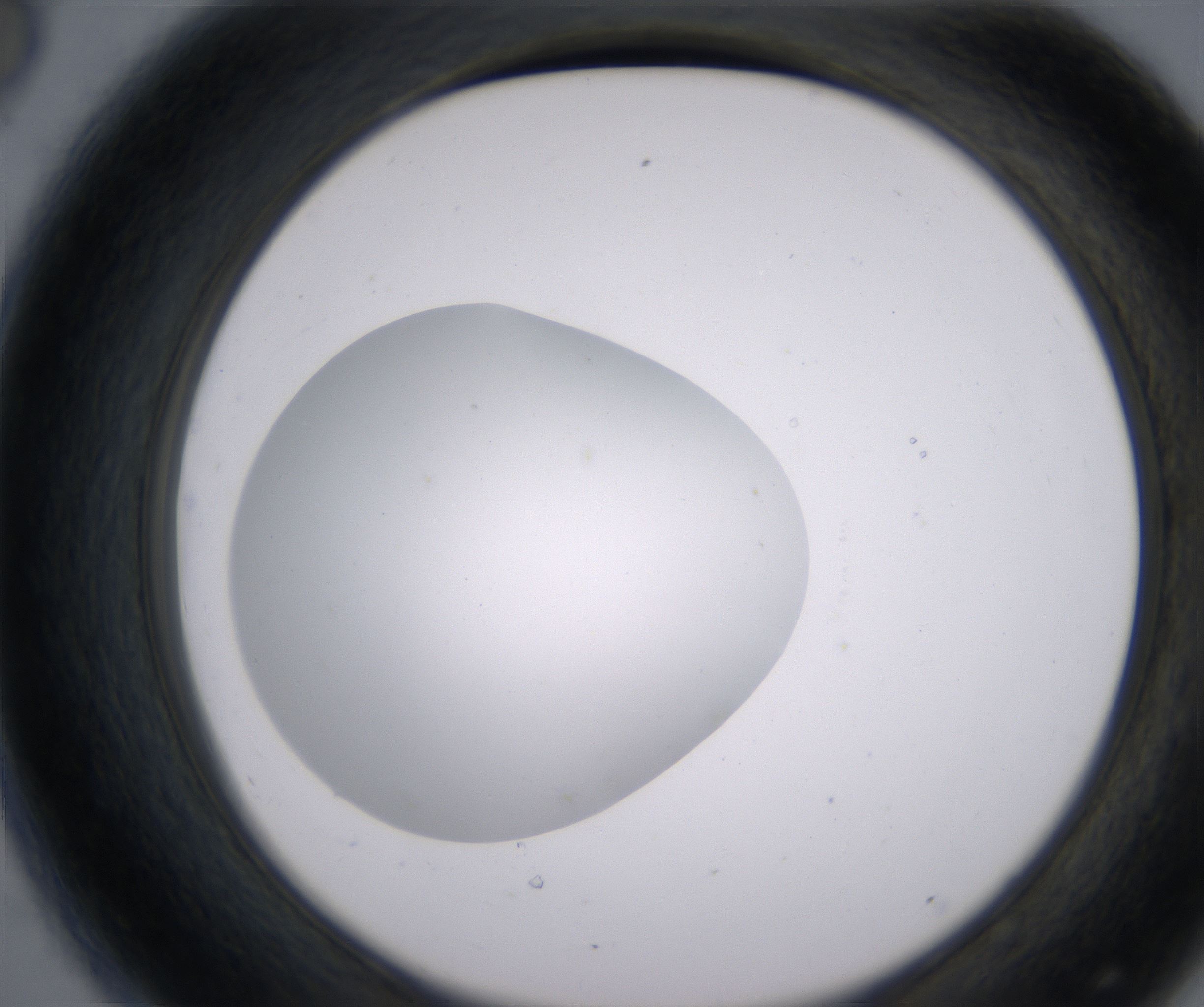 D8_HighResolution_Clear_2.jpg