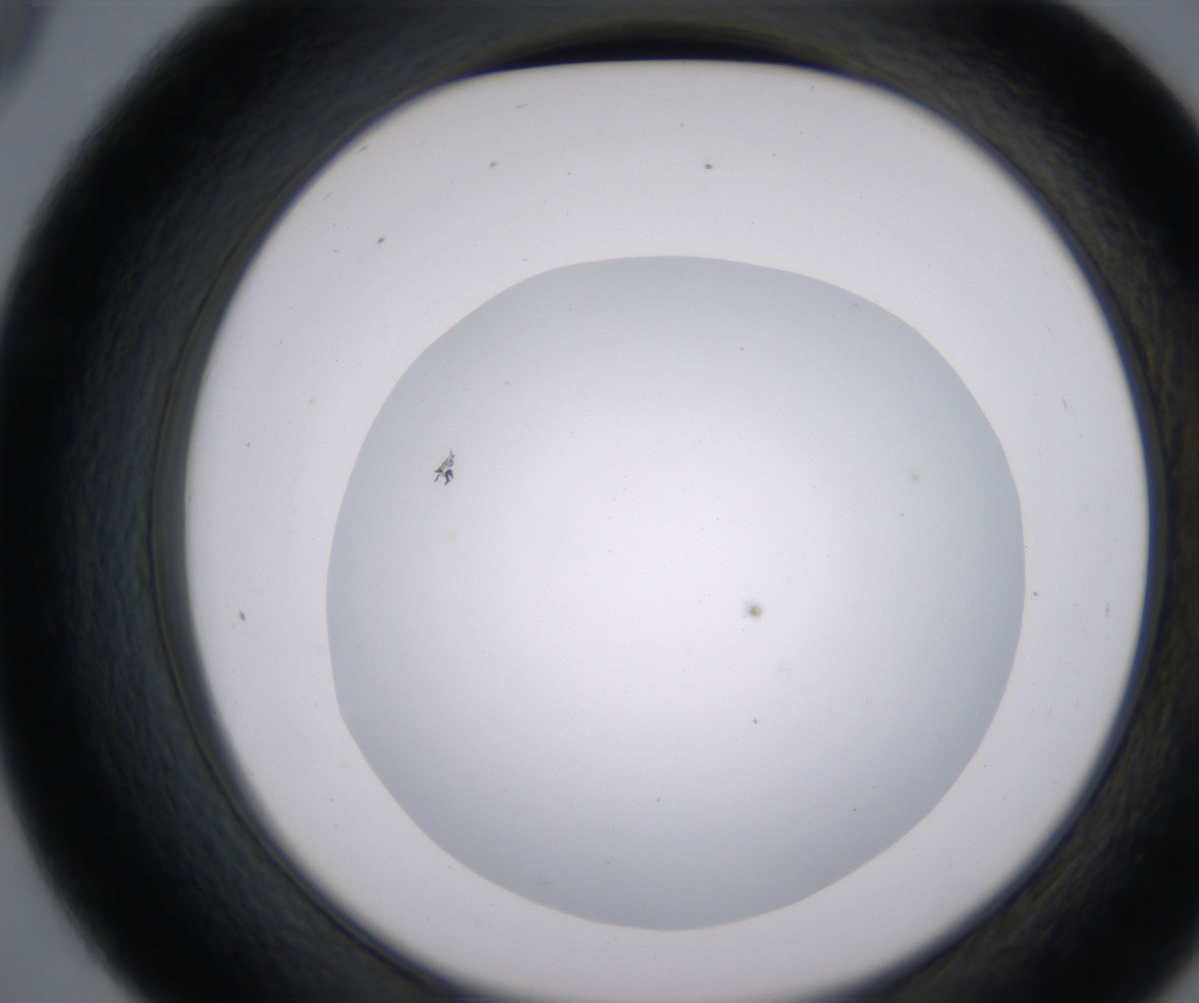 D9_HighResolution_Clear_2.jpg