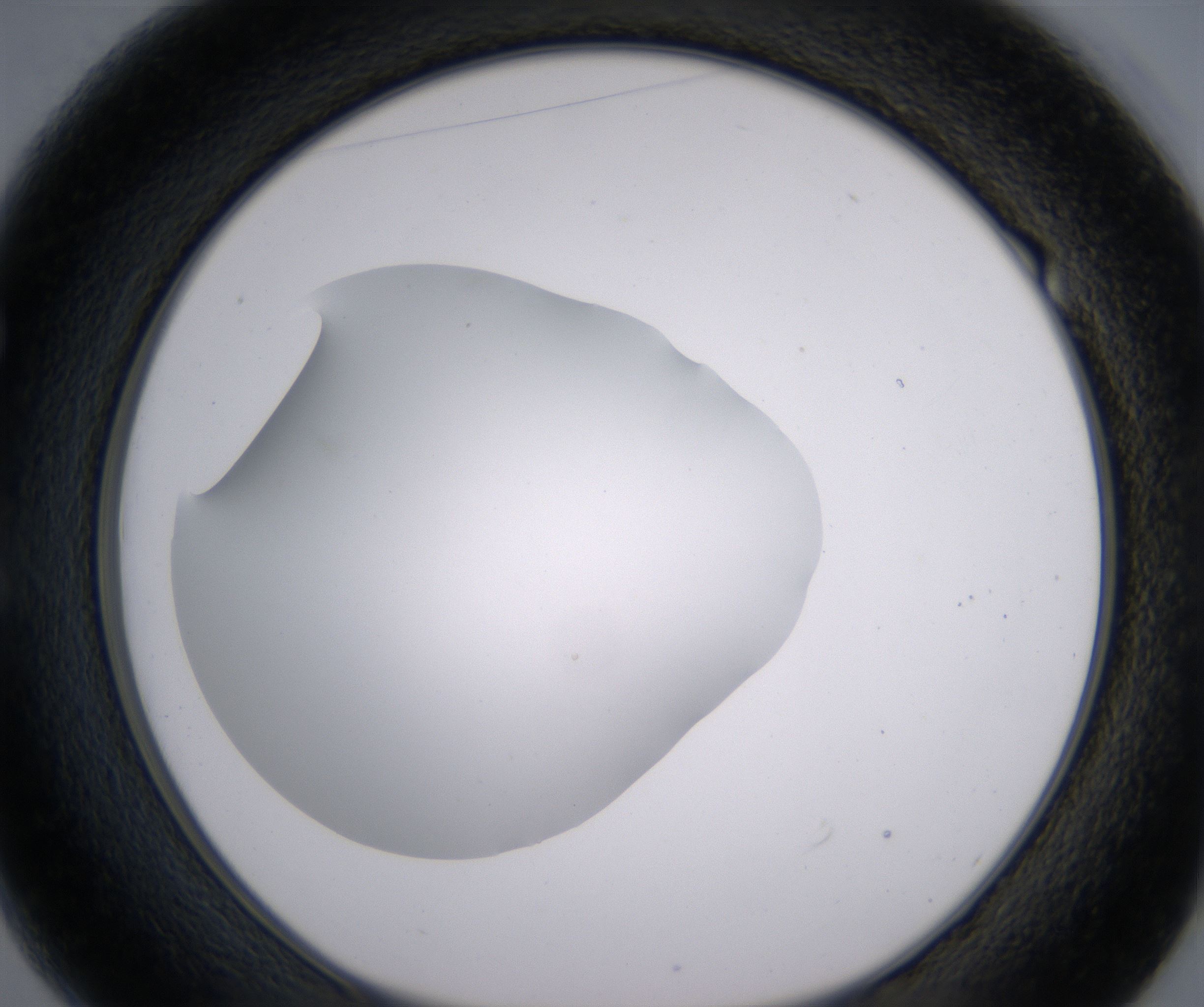 E1_HighResolution_Clear_1.jpg