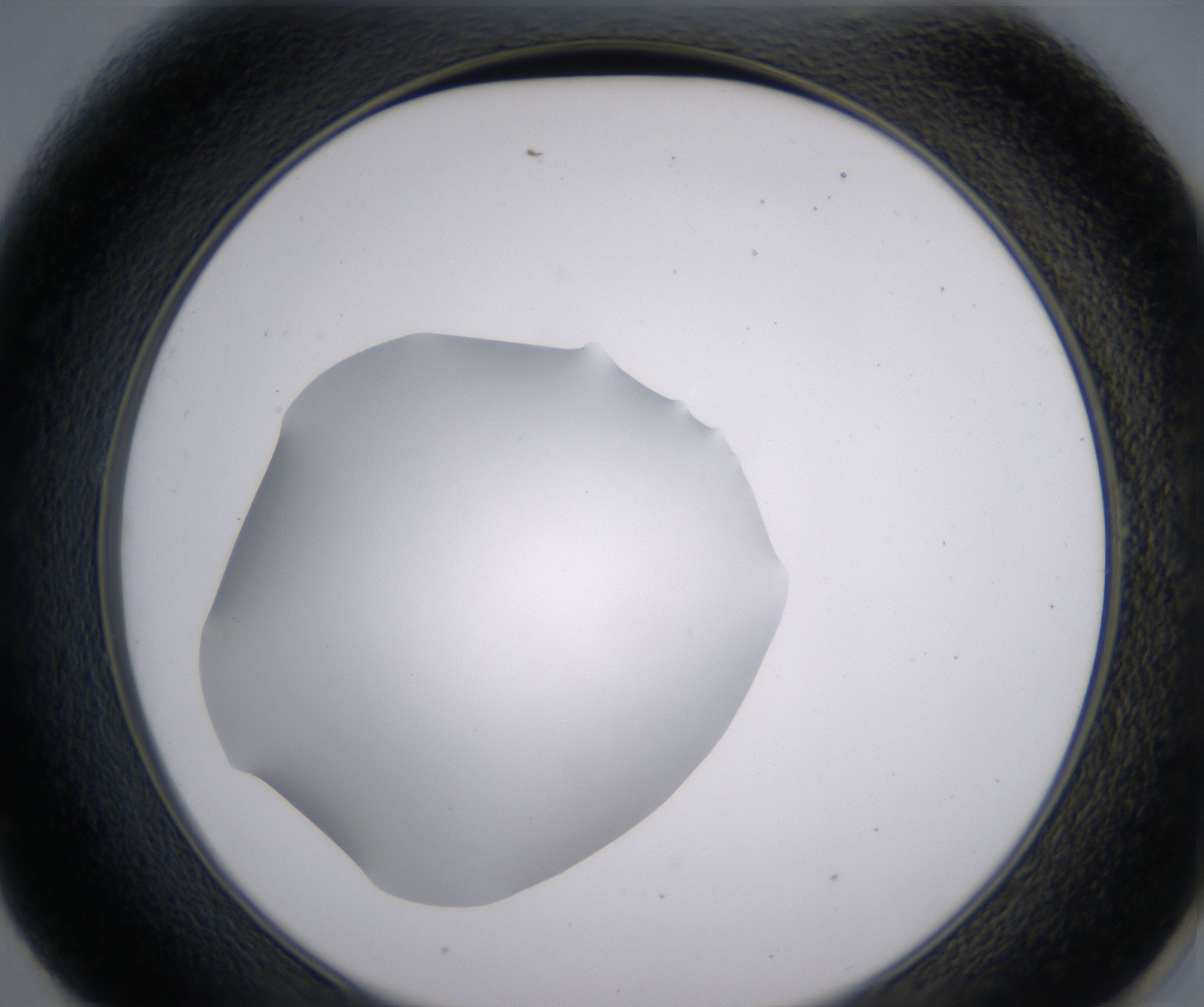 E1_HighResolution_Clear_2.jpg