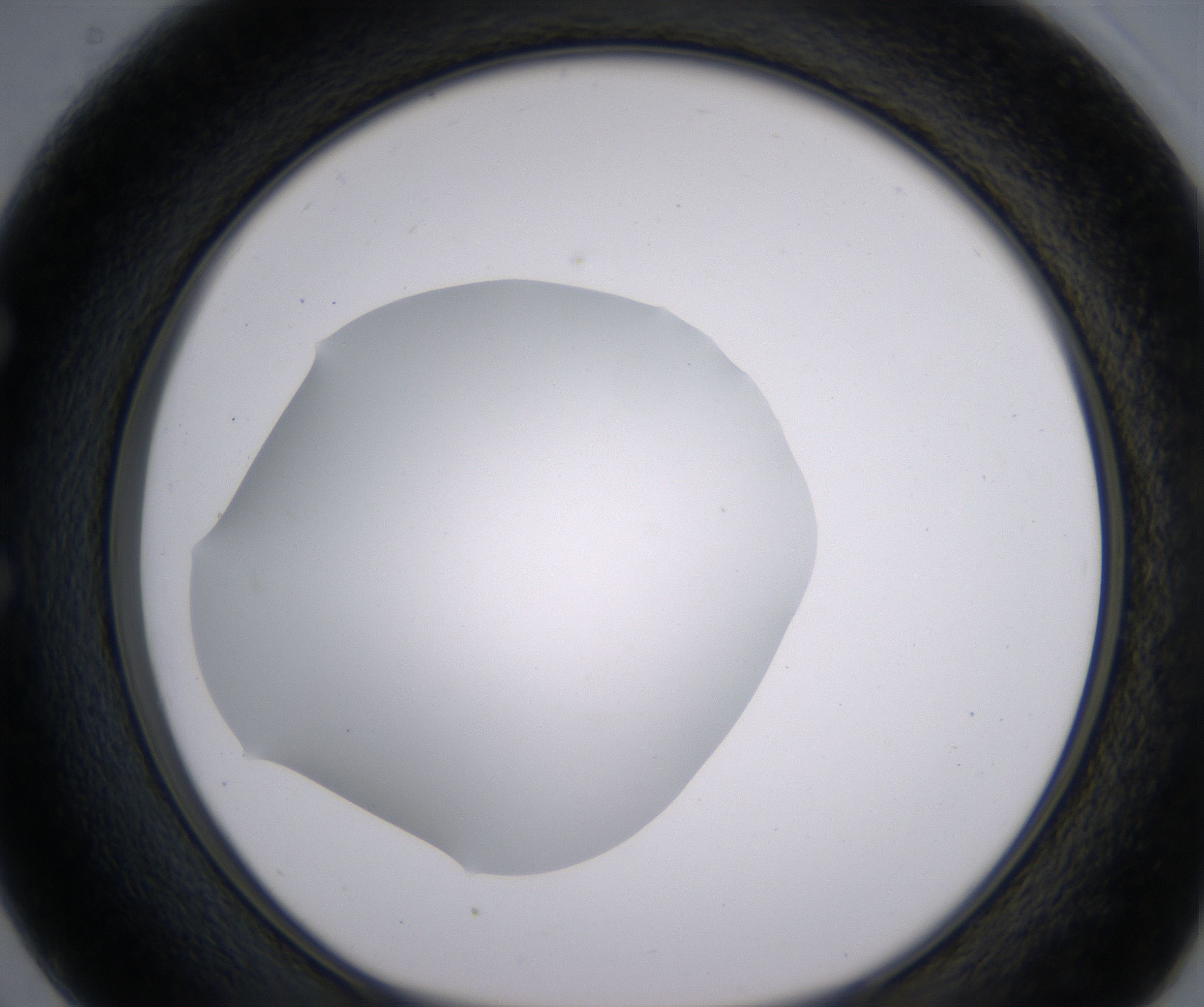 E2_HighResolution_Clear_1.jpg