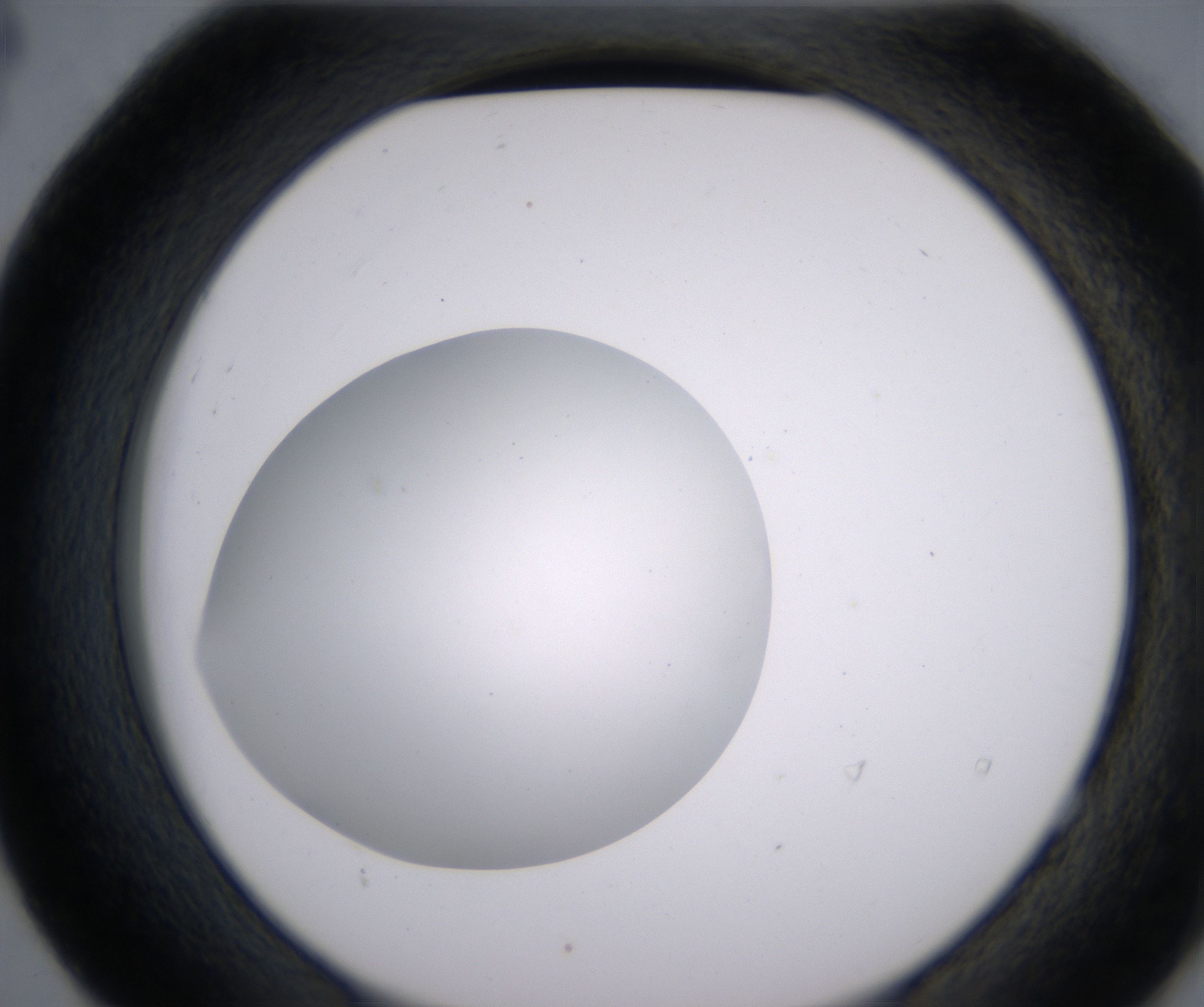 E4_HighResolution_Clear_2.jpg