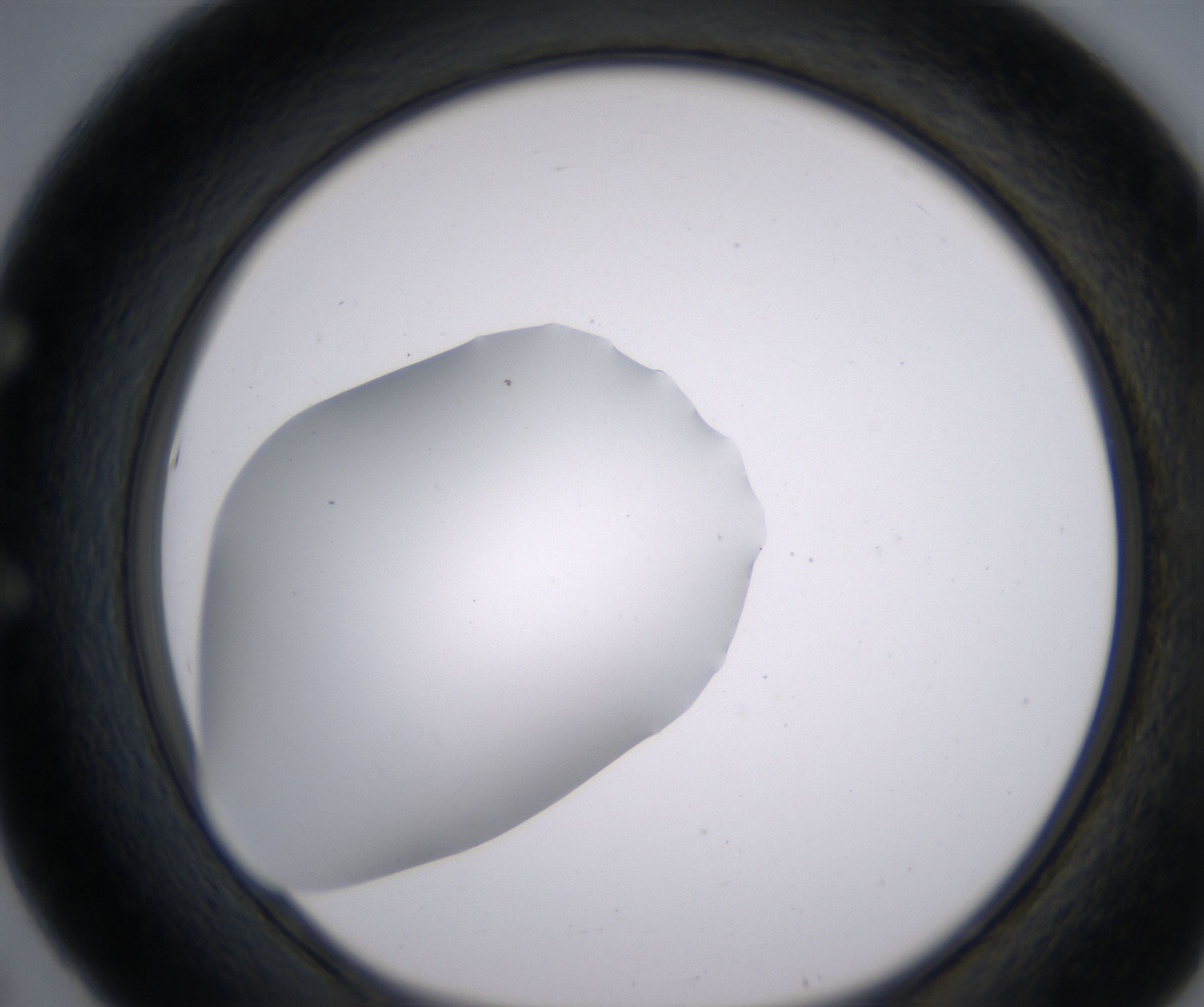 E5_HighResolution_Clear_1.jpg