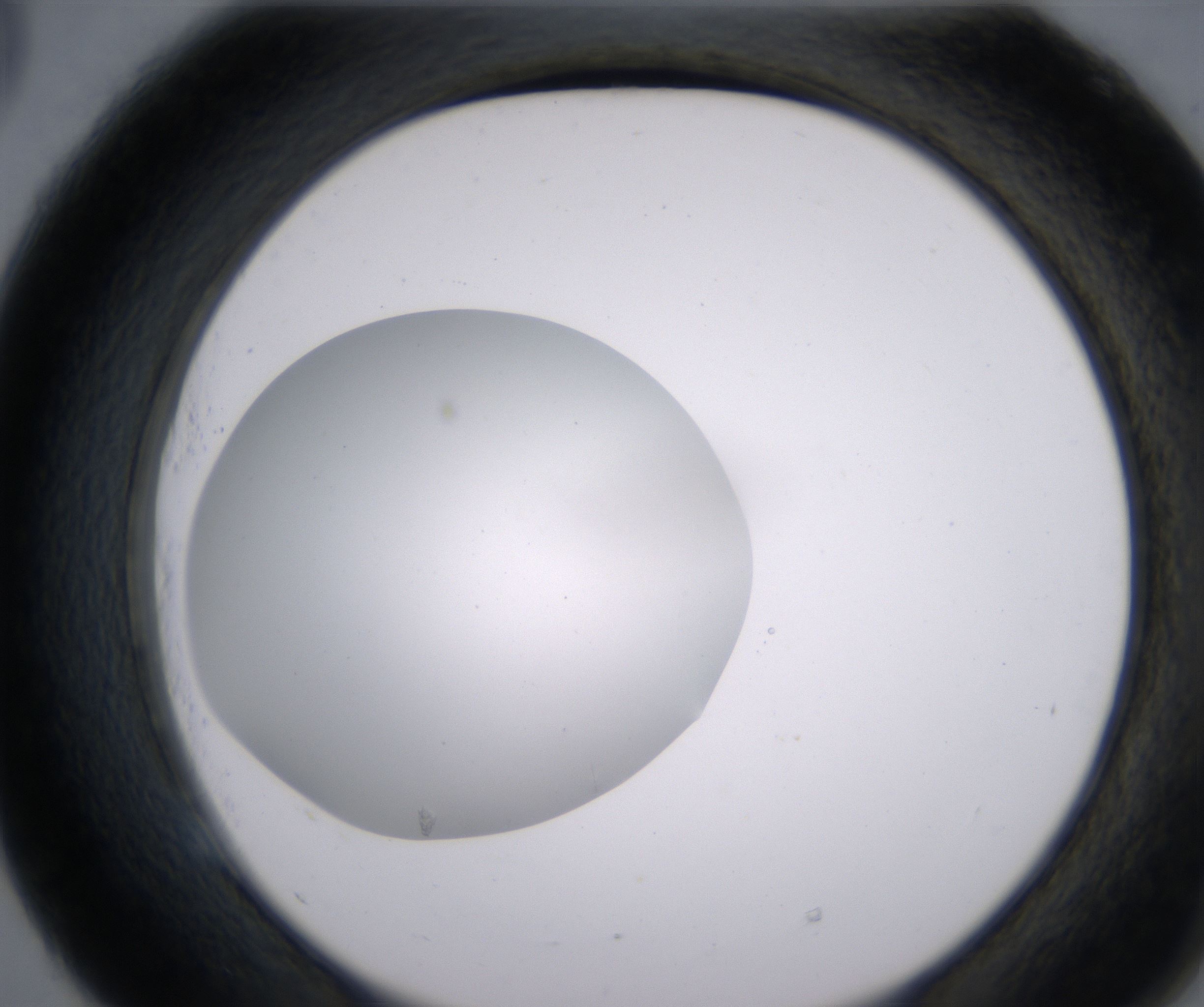 E5_HighResolution_Clear_2.jpg
