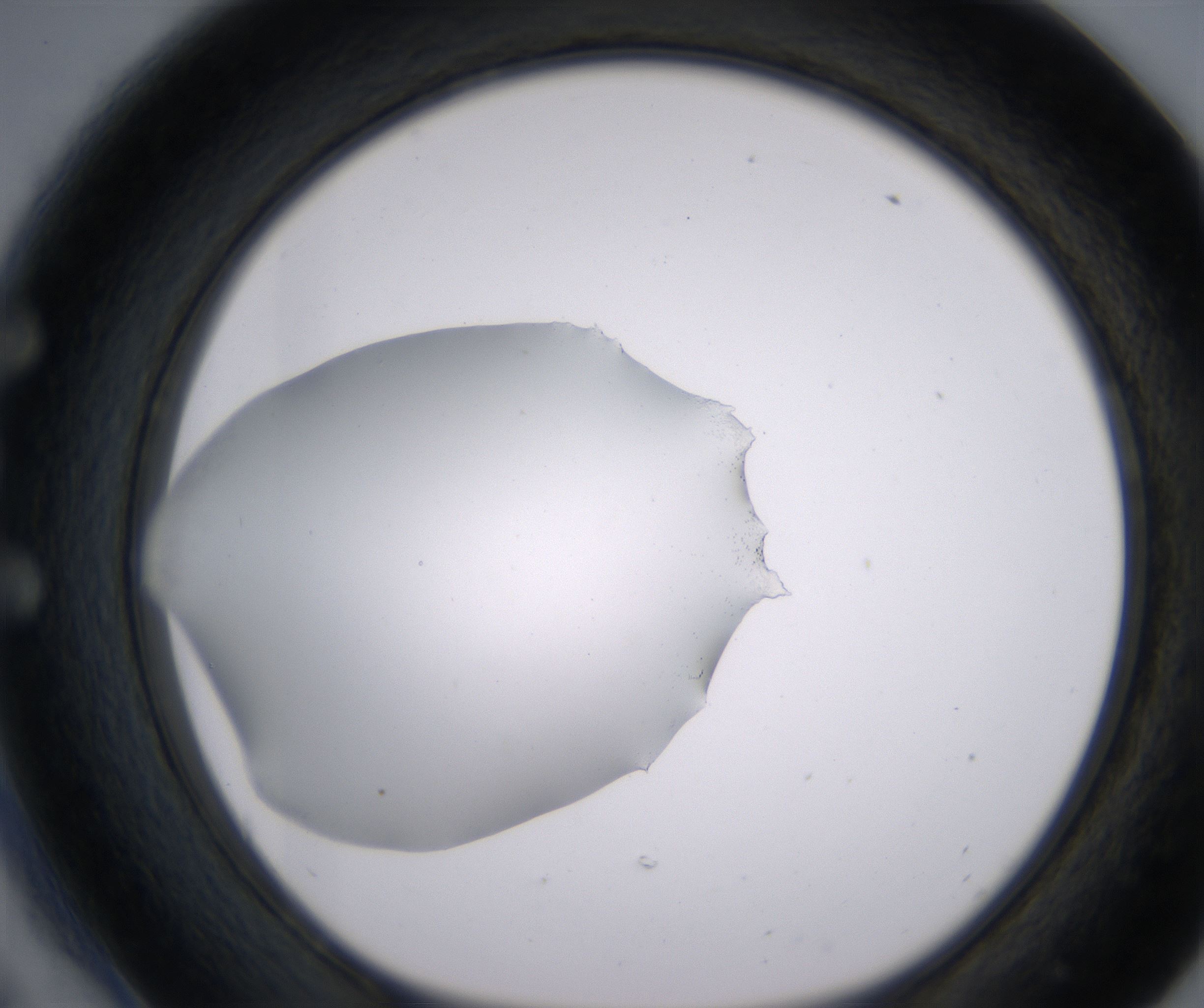 E6_HighResolution_Clear_1.jpg