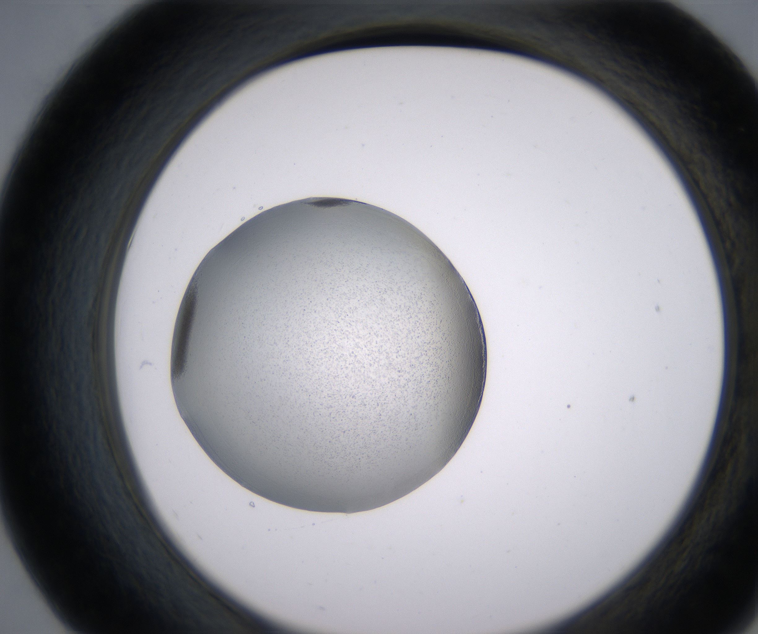 E7_HighResolution_Precipitate_2.jpg