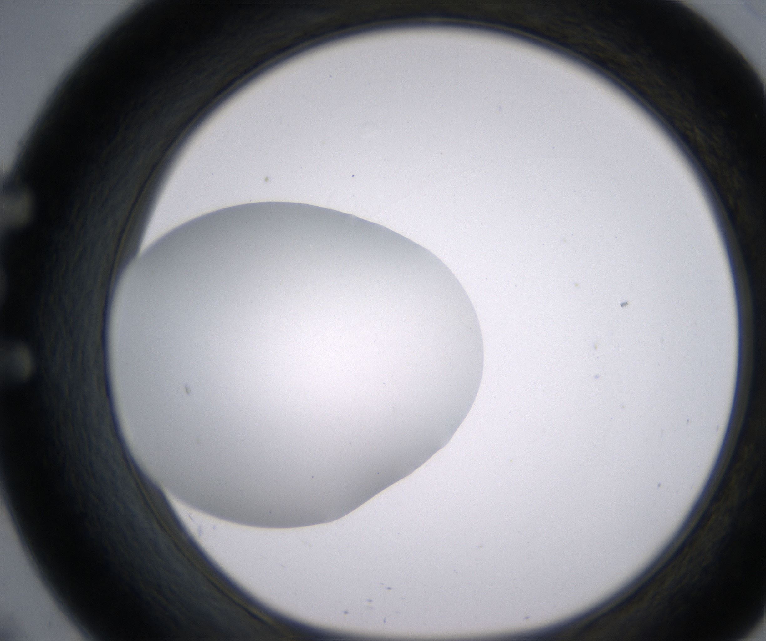E9_HighResolution_Clear_1.jpg