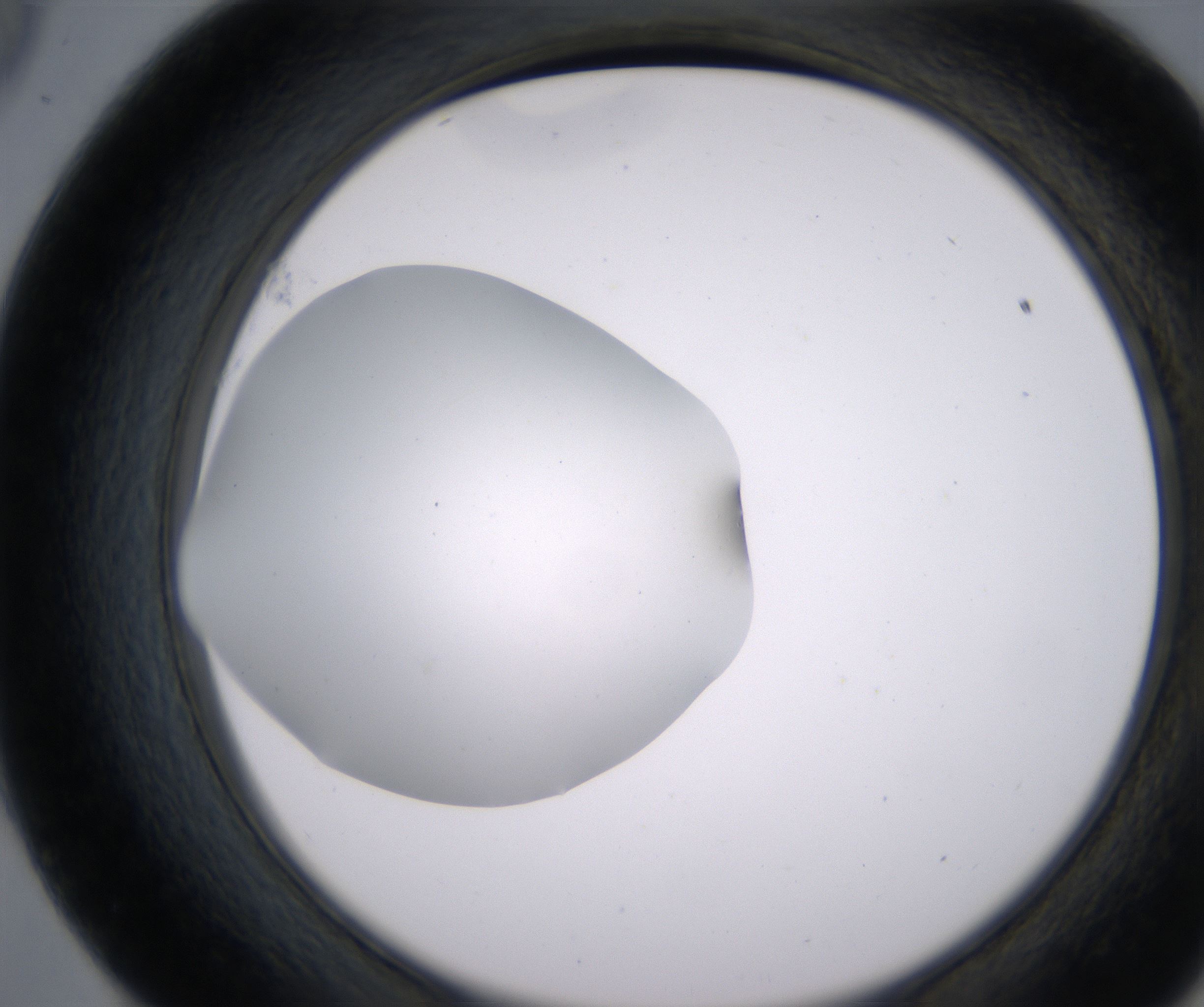 E9_HighResolution_Clear_2.jpg