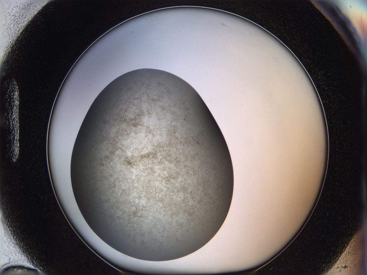 05k0_H10_ImagerDefaults_3.jpg