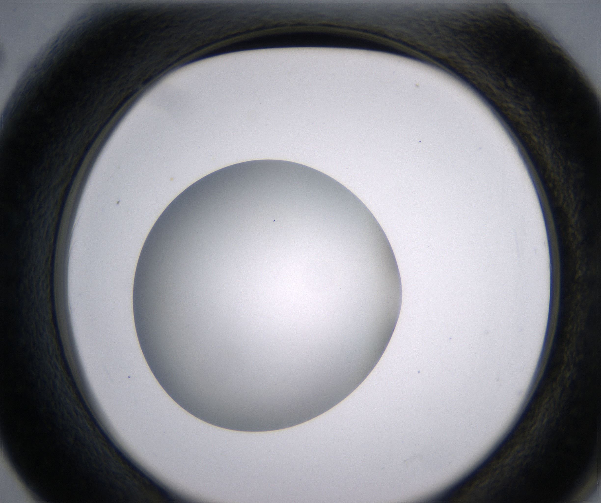 F2_HighResolution_Clear_2.jpg