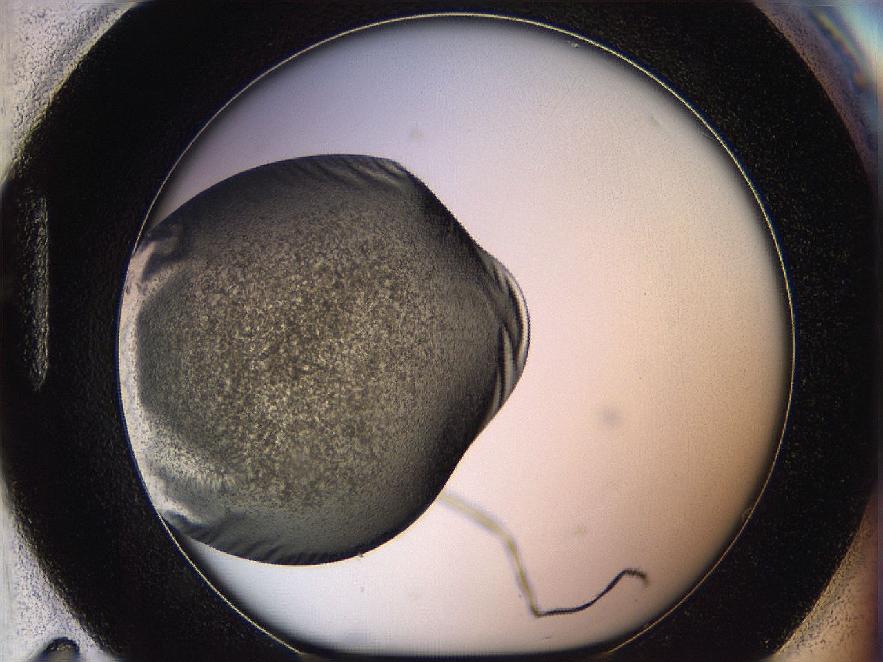 05k0_H11_ImagerDefaults_3.jpg