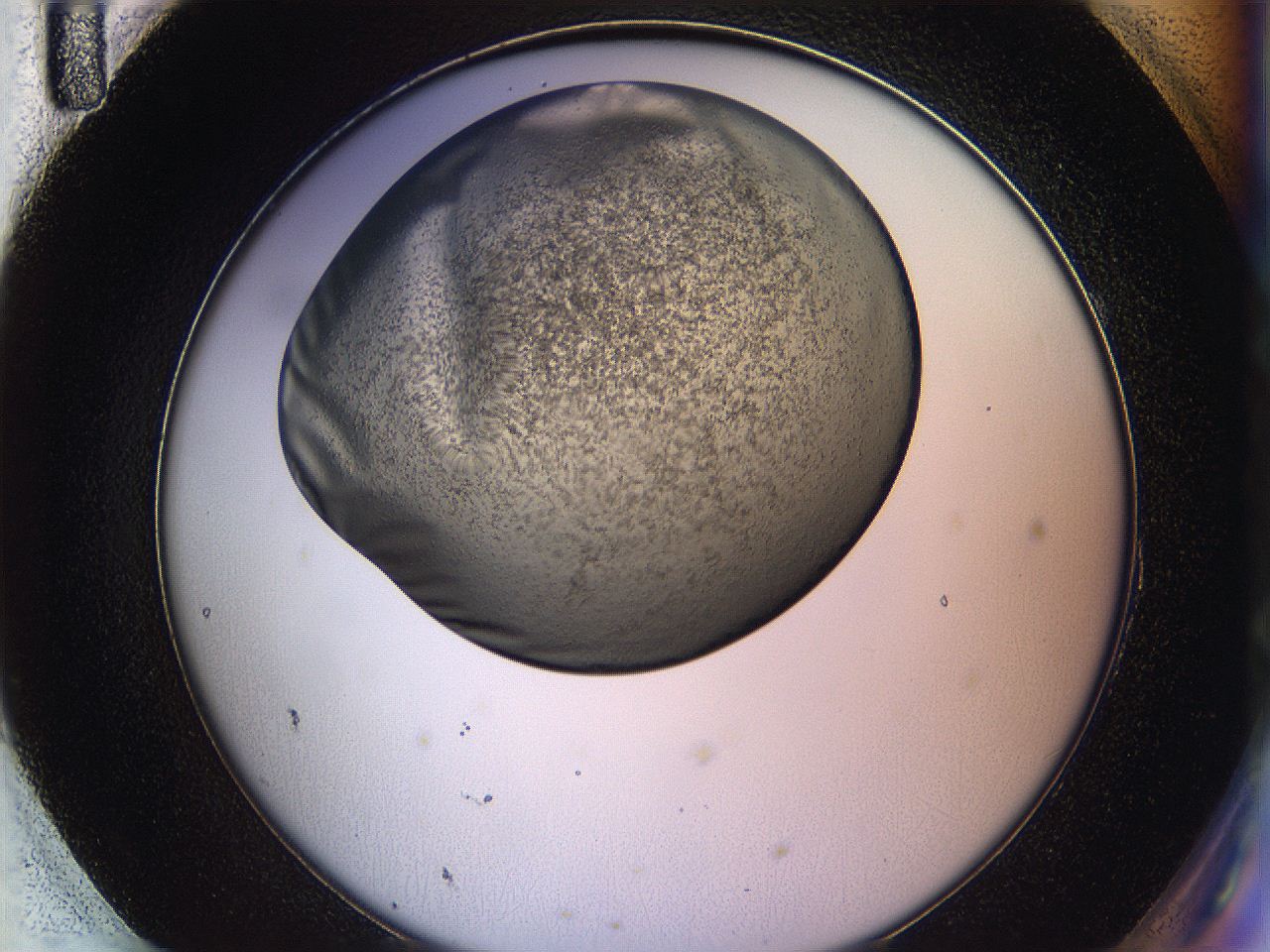 05k0_H11_ImagerDefaults_2.jpg
