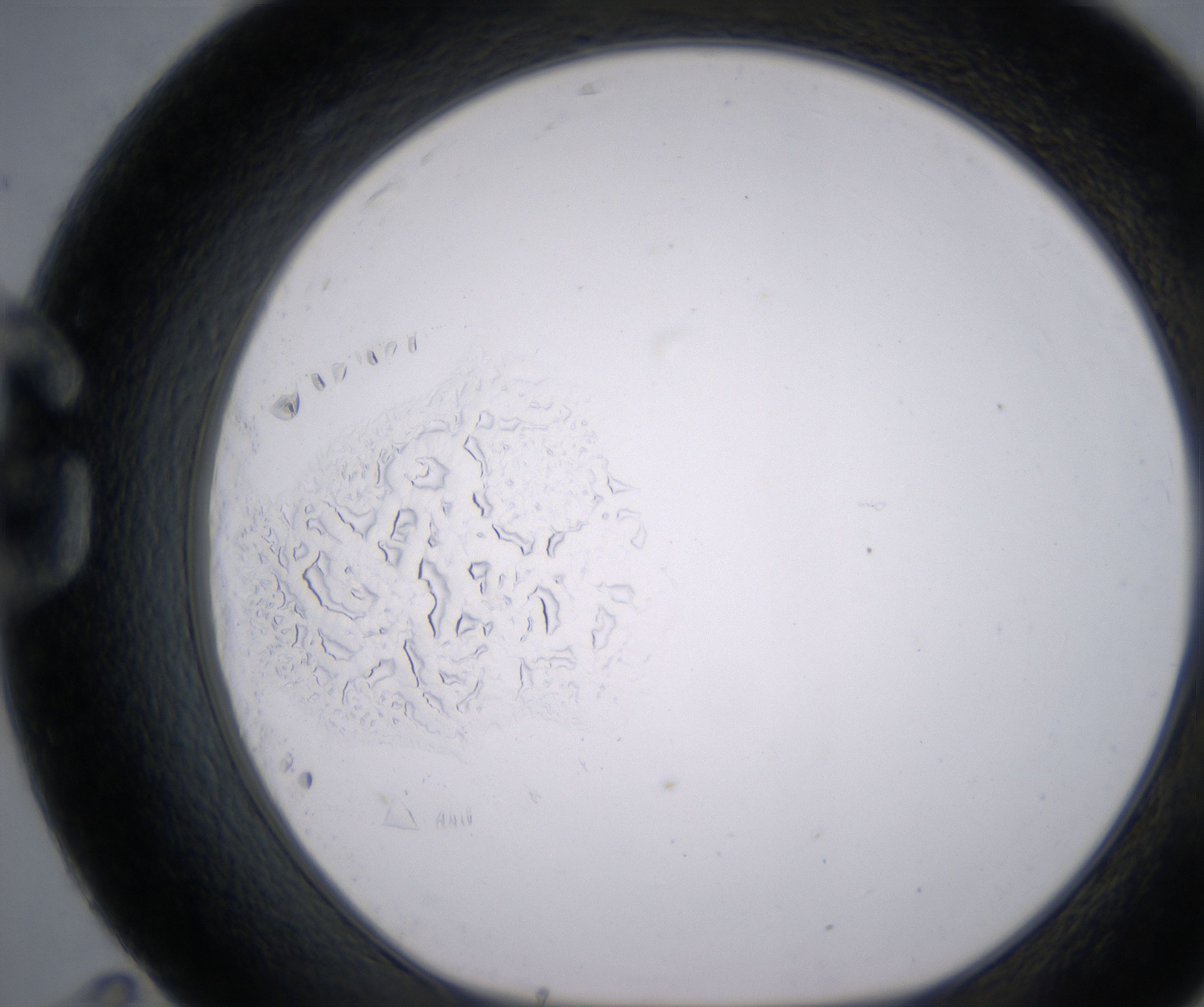 G11_HighResolution_Precipitate_1.jpg