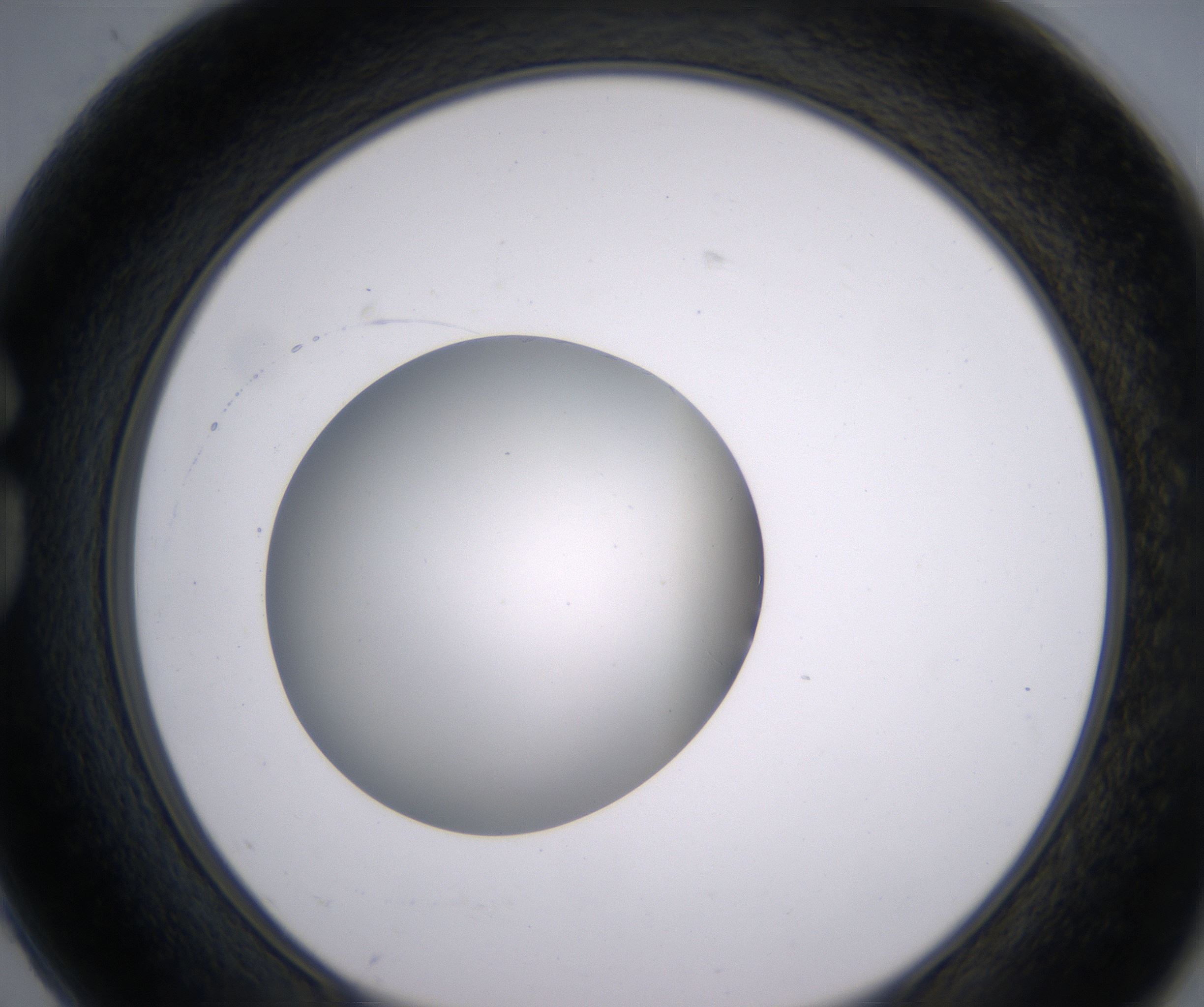 G2_HighResolution_Clear_1.jpg