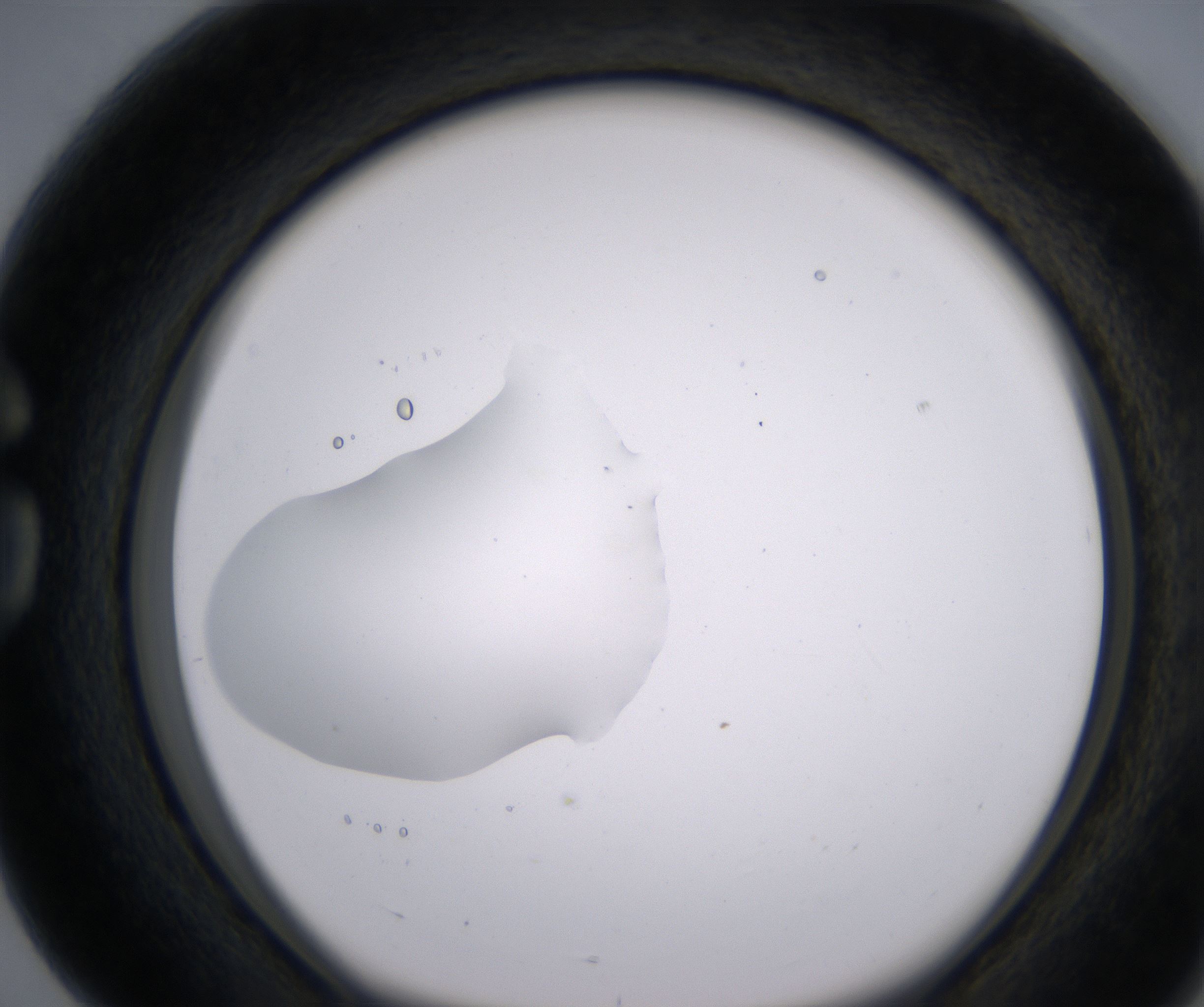 G4_HighResolution_Clear_1.jpg