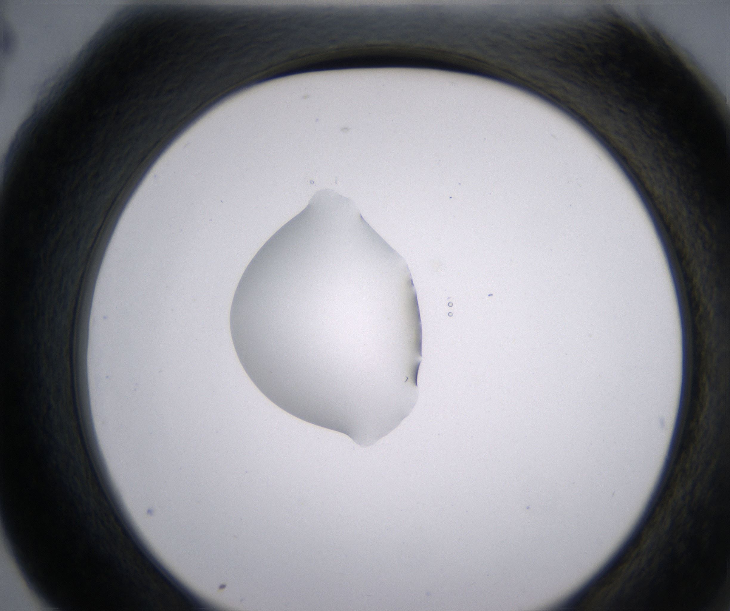 G4_HighResolution_Clear_2.jpg