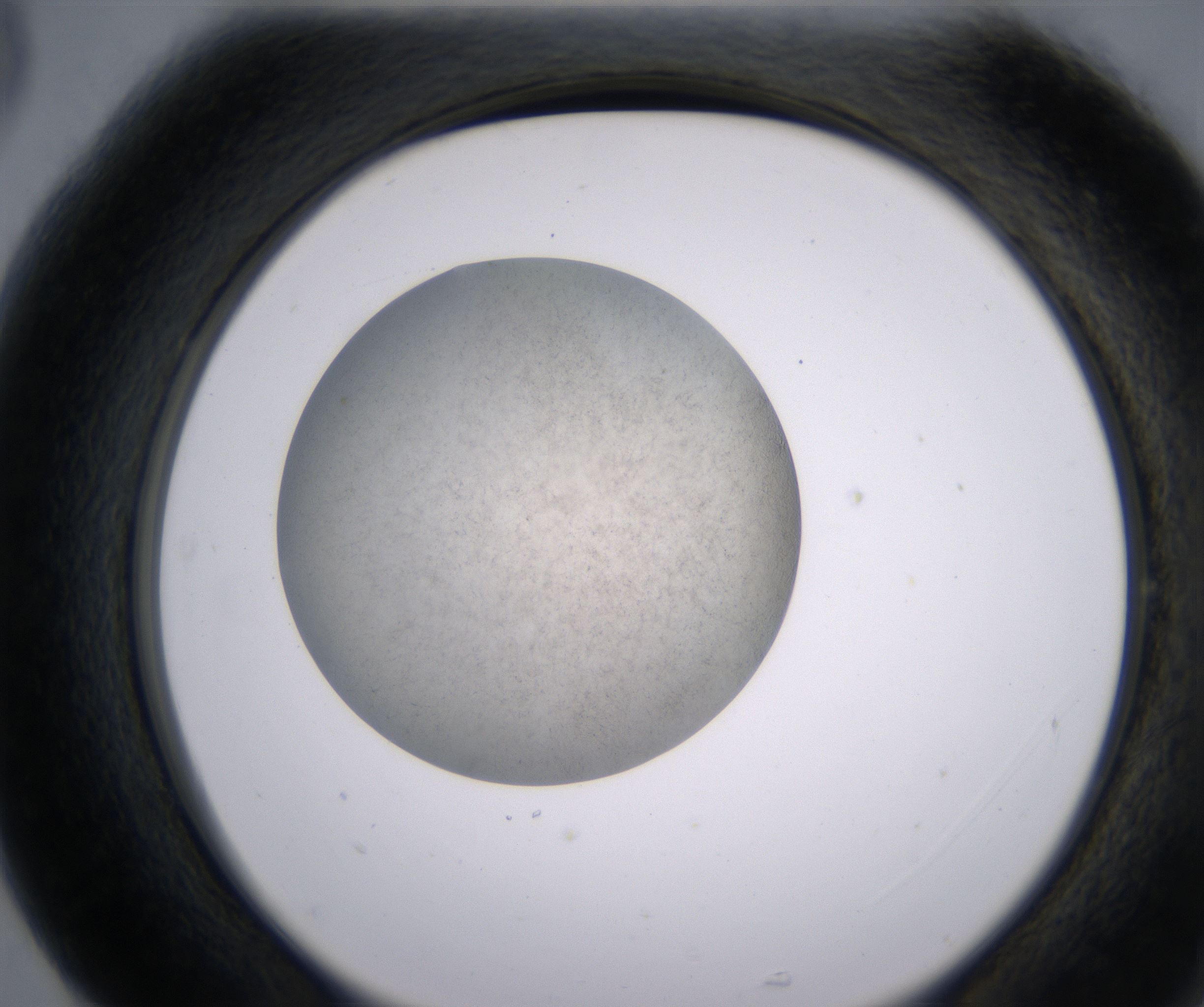 G5_HighResolution_Precipitate_2.jpg