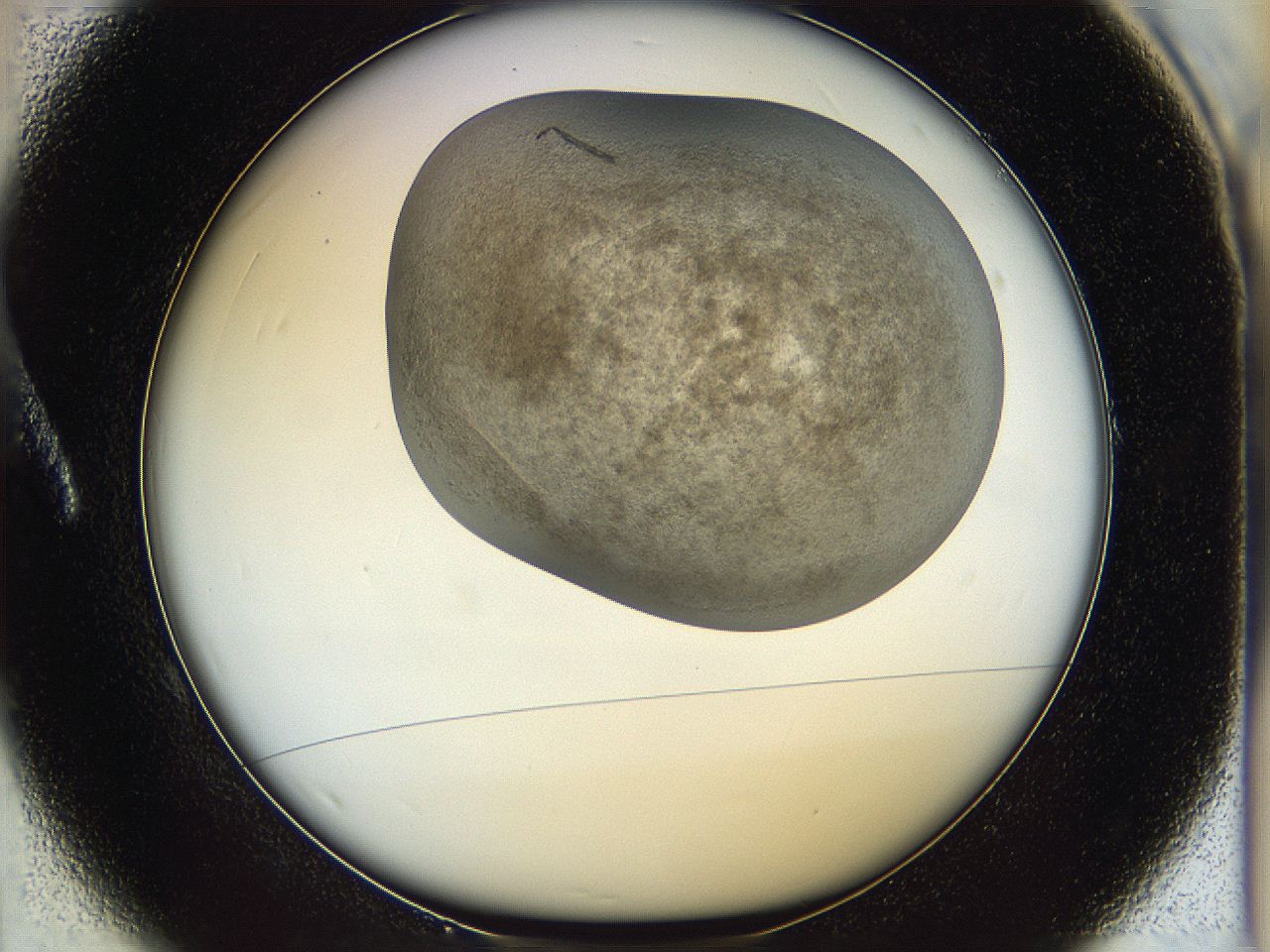 05k2_A1_ImagerDefaults_3.jpg