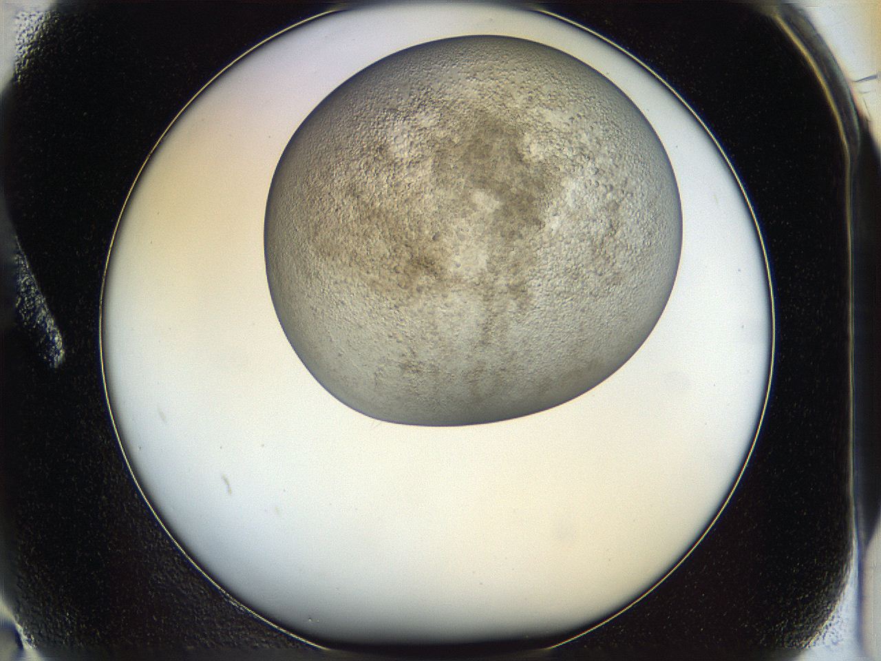 05k2_A2_ImagerDefaults_3.jpg