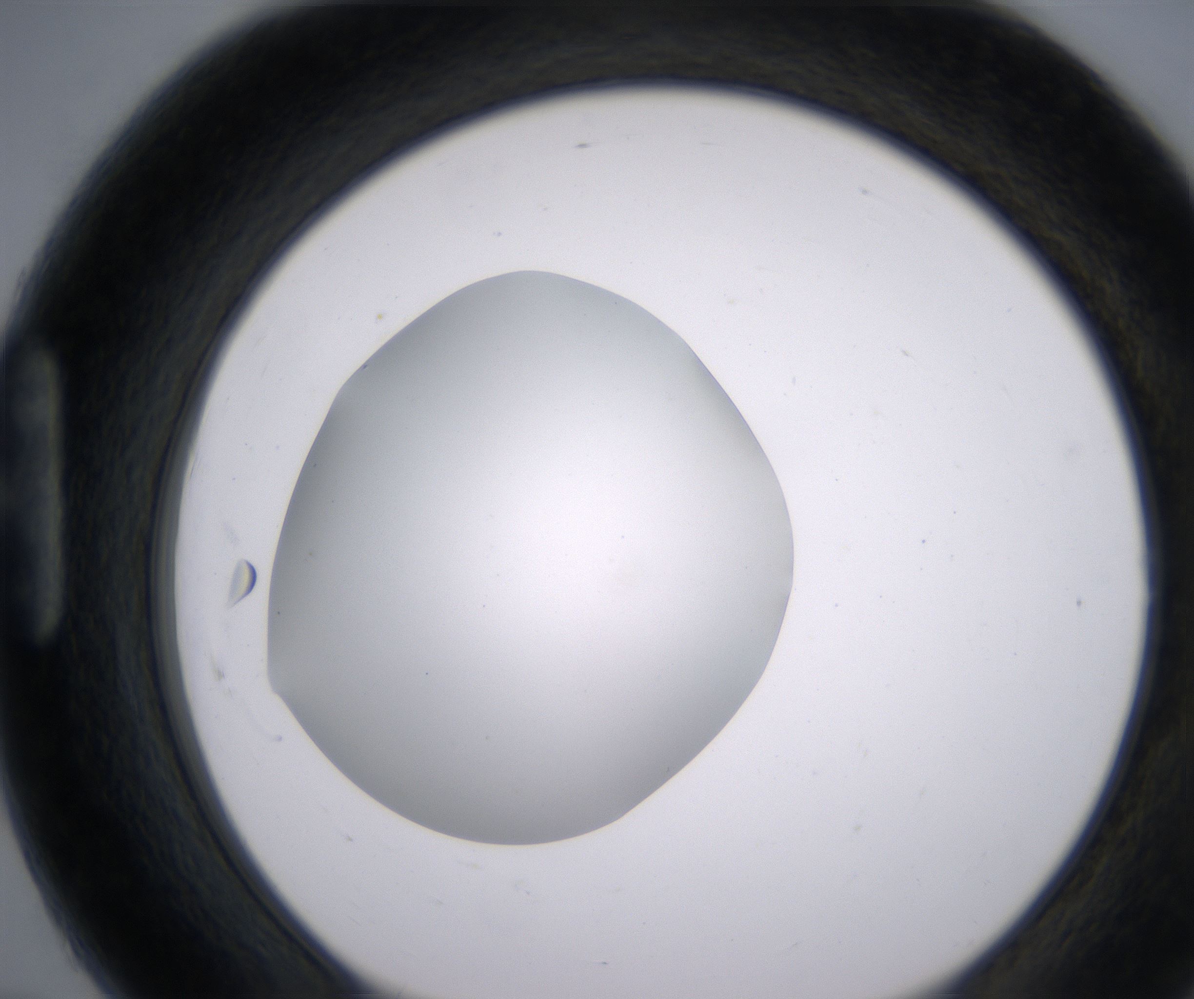 H7_HighResolution_Clear_1.jpg