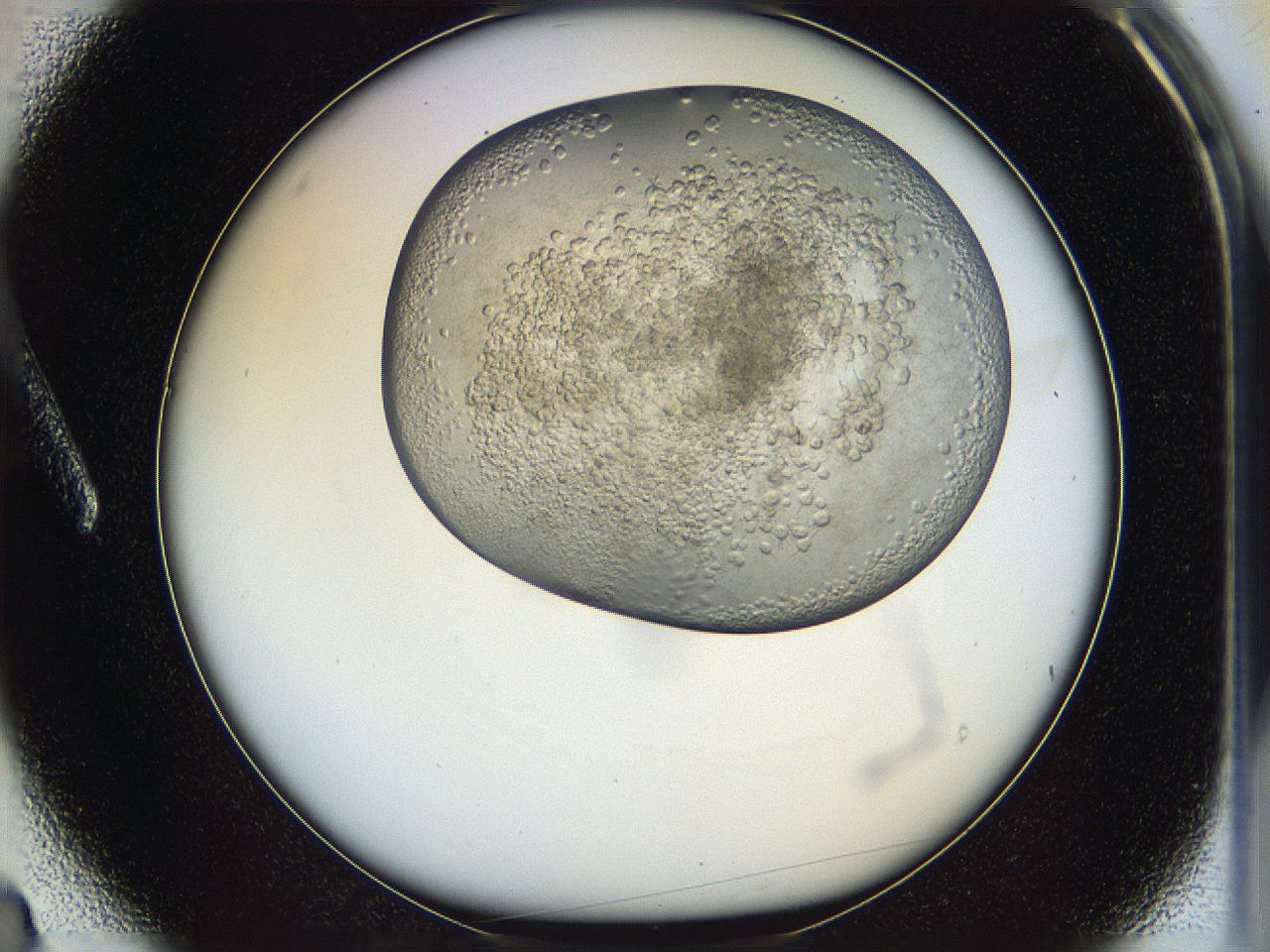05k2_A3_ImagerDefaults_3.jpg