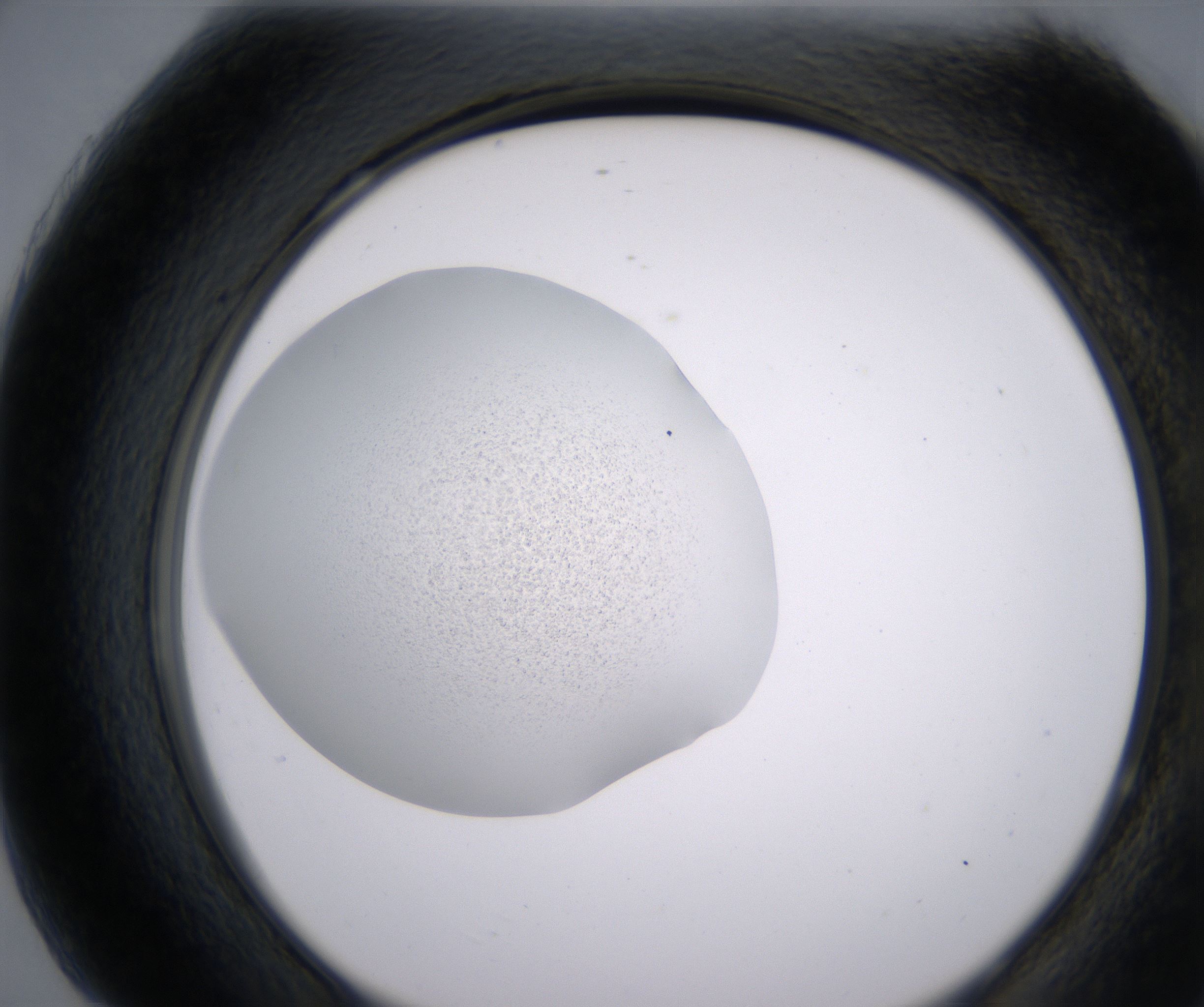 H7_HighResolution_Precipitate_2.jpg