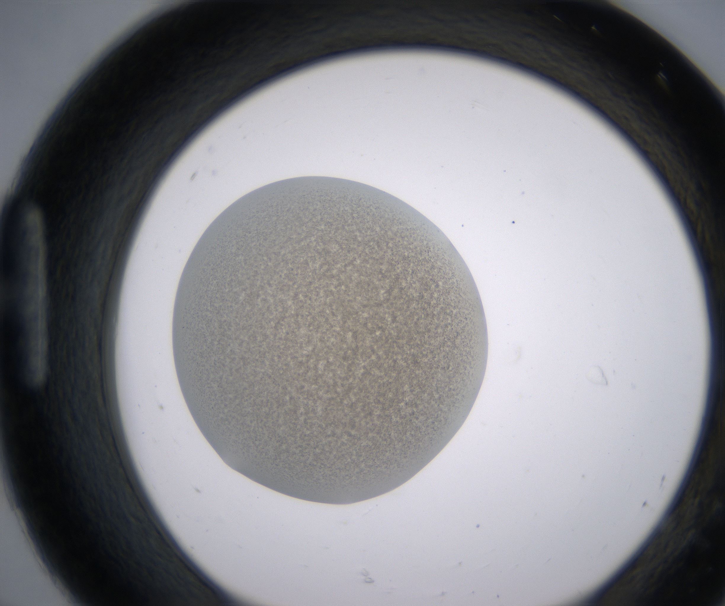 H8_HighResolution_Precipitate_1.jpg