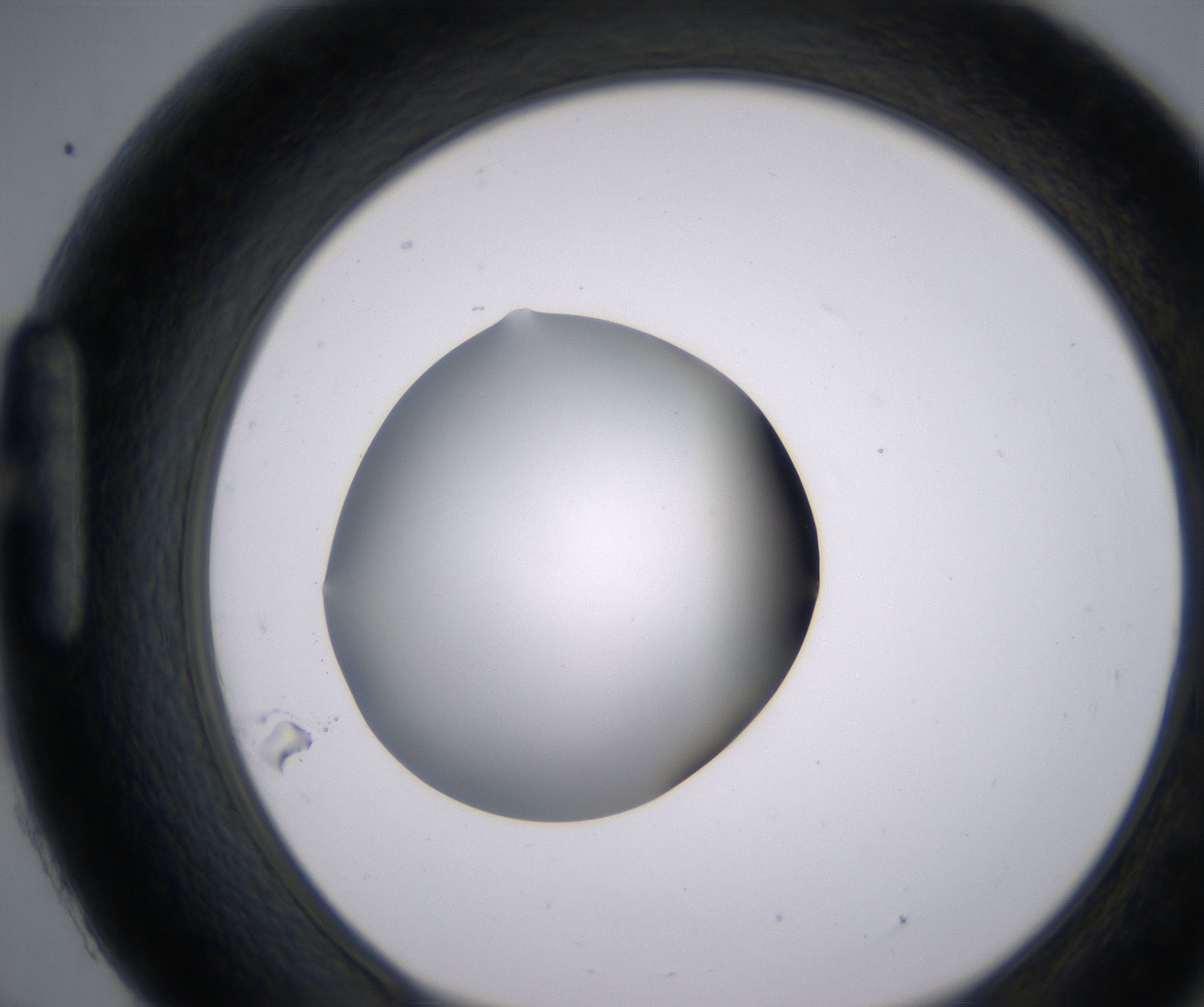 H9_HighResolution_Clear_1.jpg