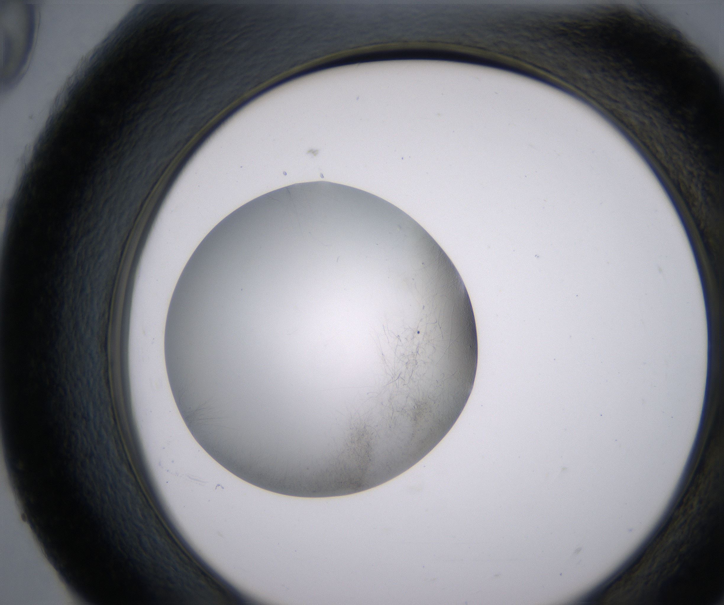H9_HighResolution_Clear_2.jpg