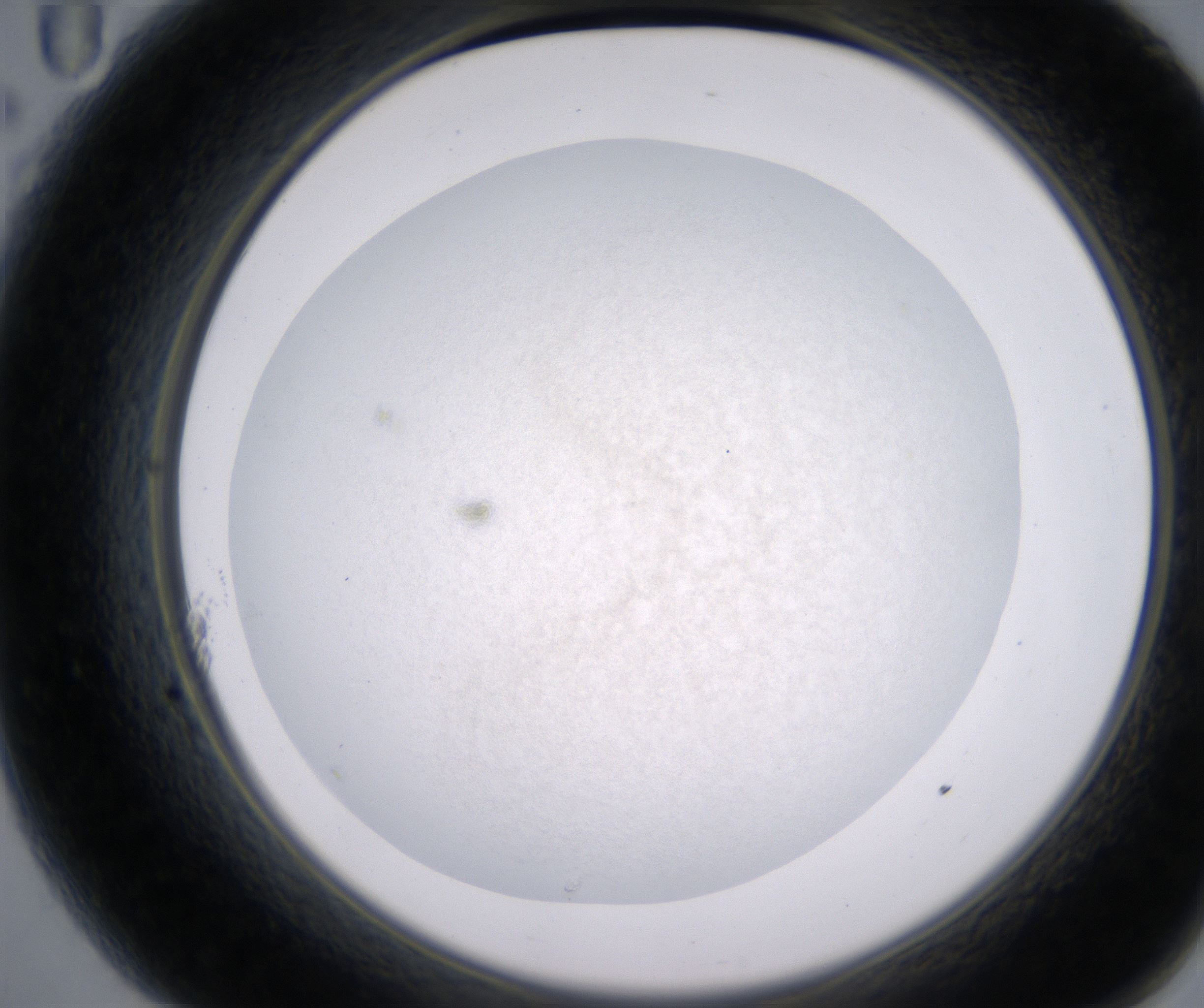 A11_HighResolution_Precipitate_2.jpg