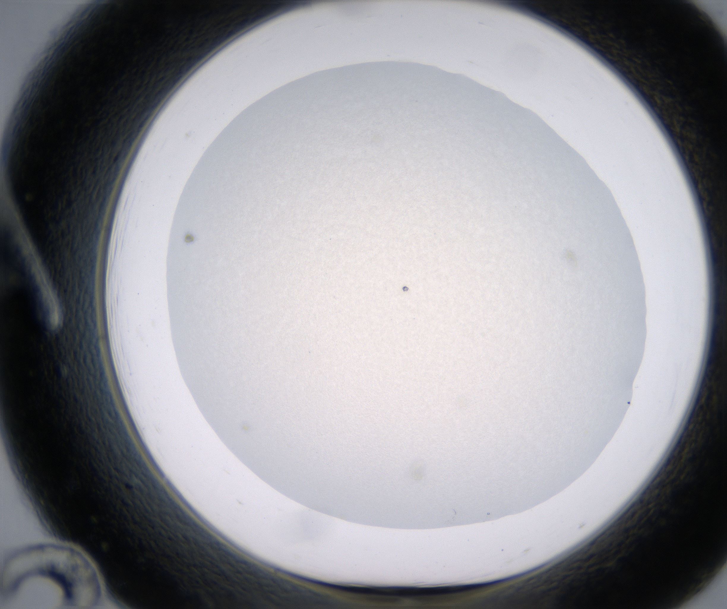 A12_HighResolution_Precipitate_1.jpg