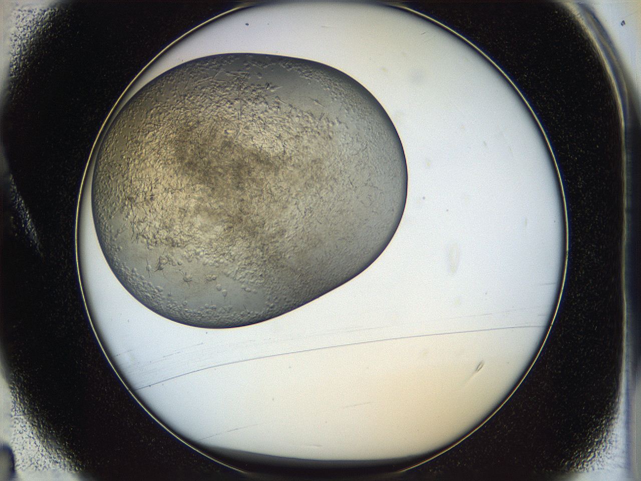 05k2_A4_ImagerDefaults_3.jpg