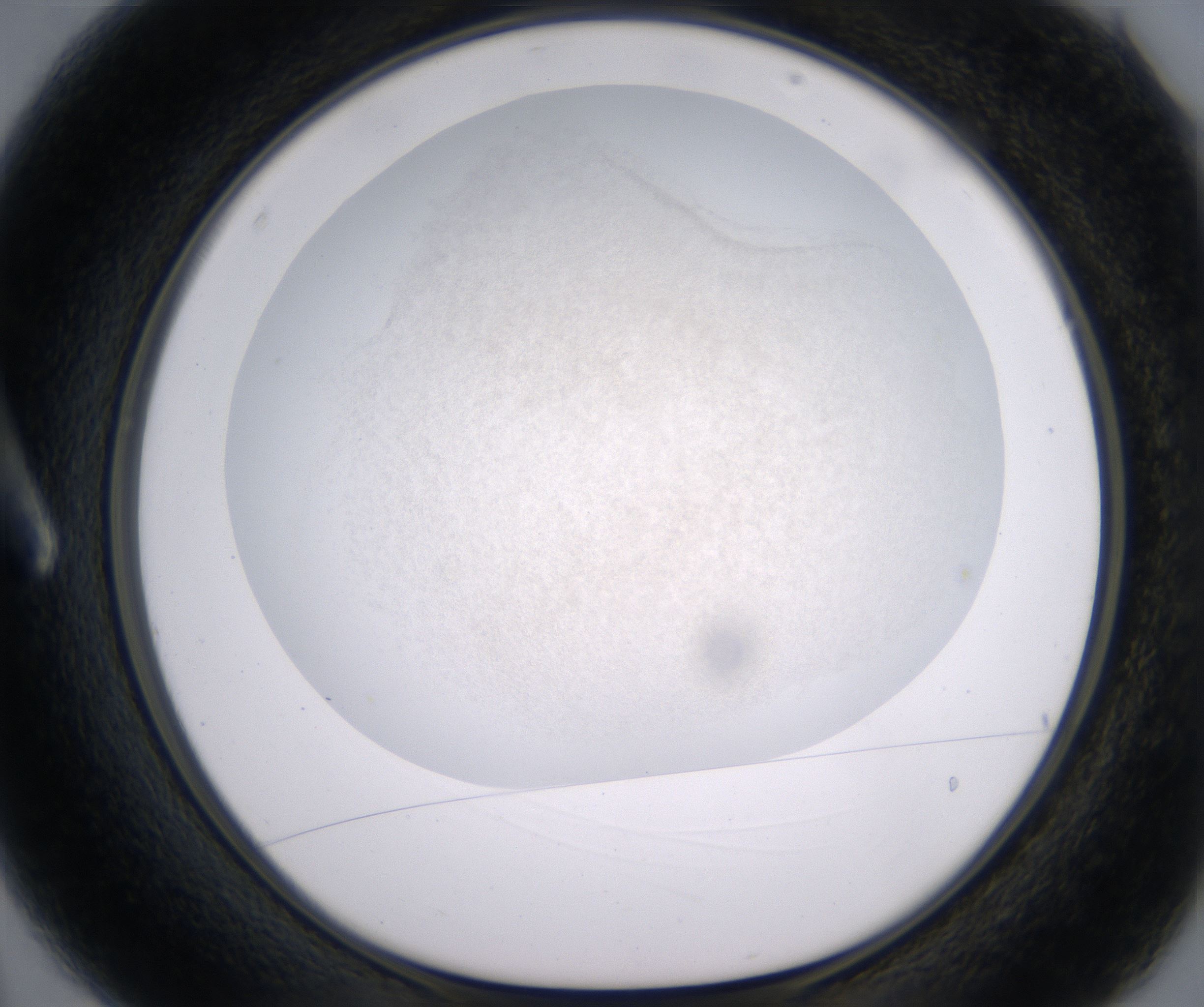 A3_HighResolution_Precipitate_1.jpg