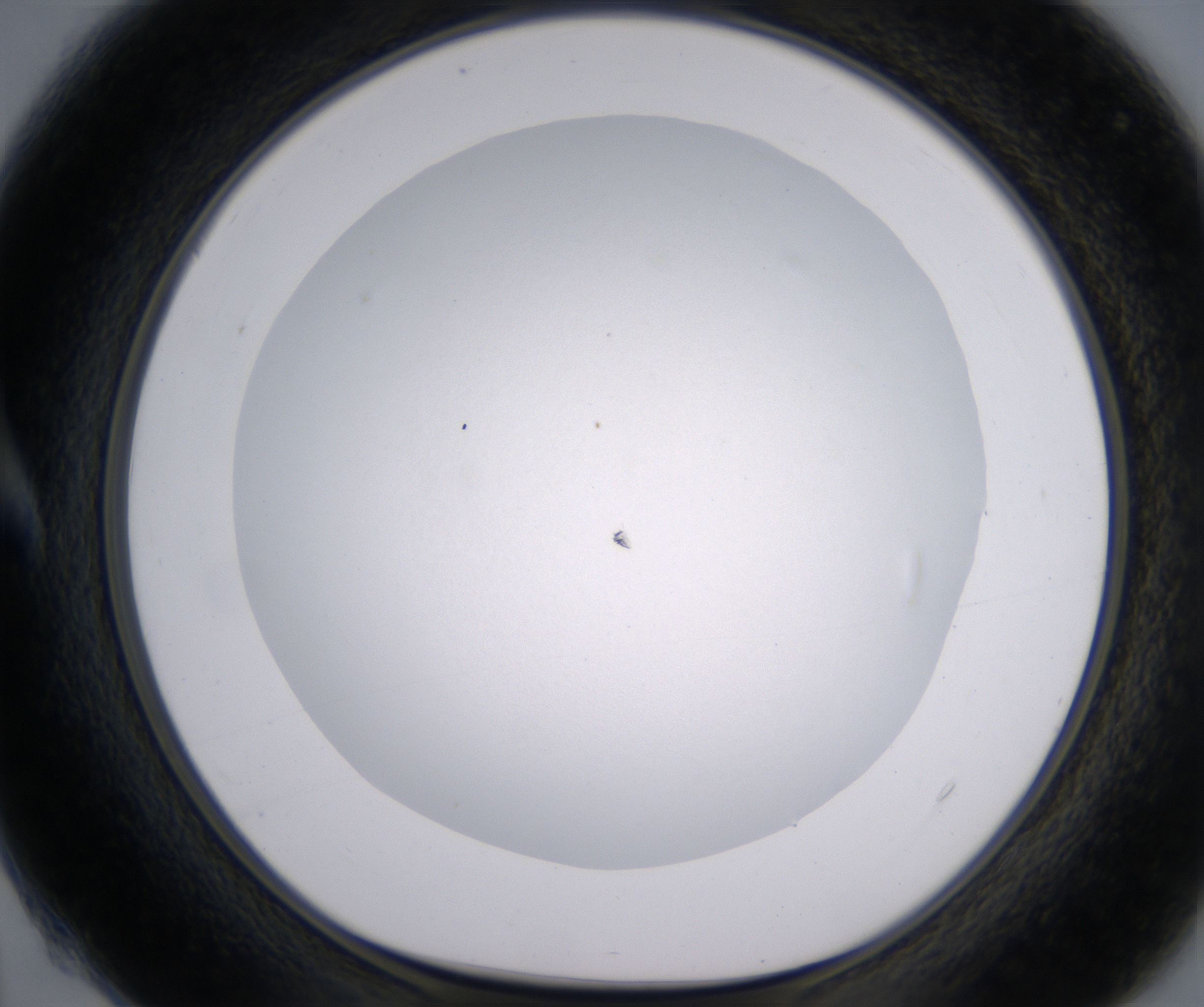A4_HighResolution_Clear_1.jpg