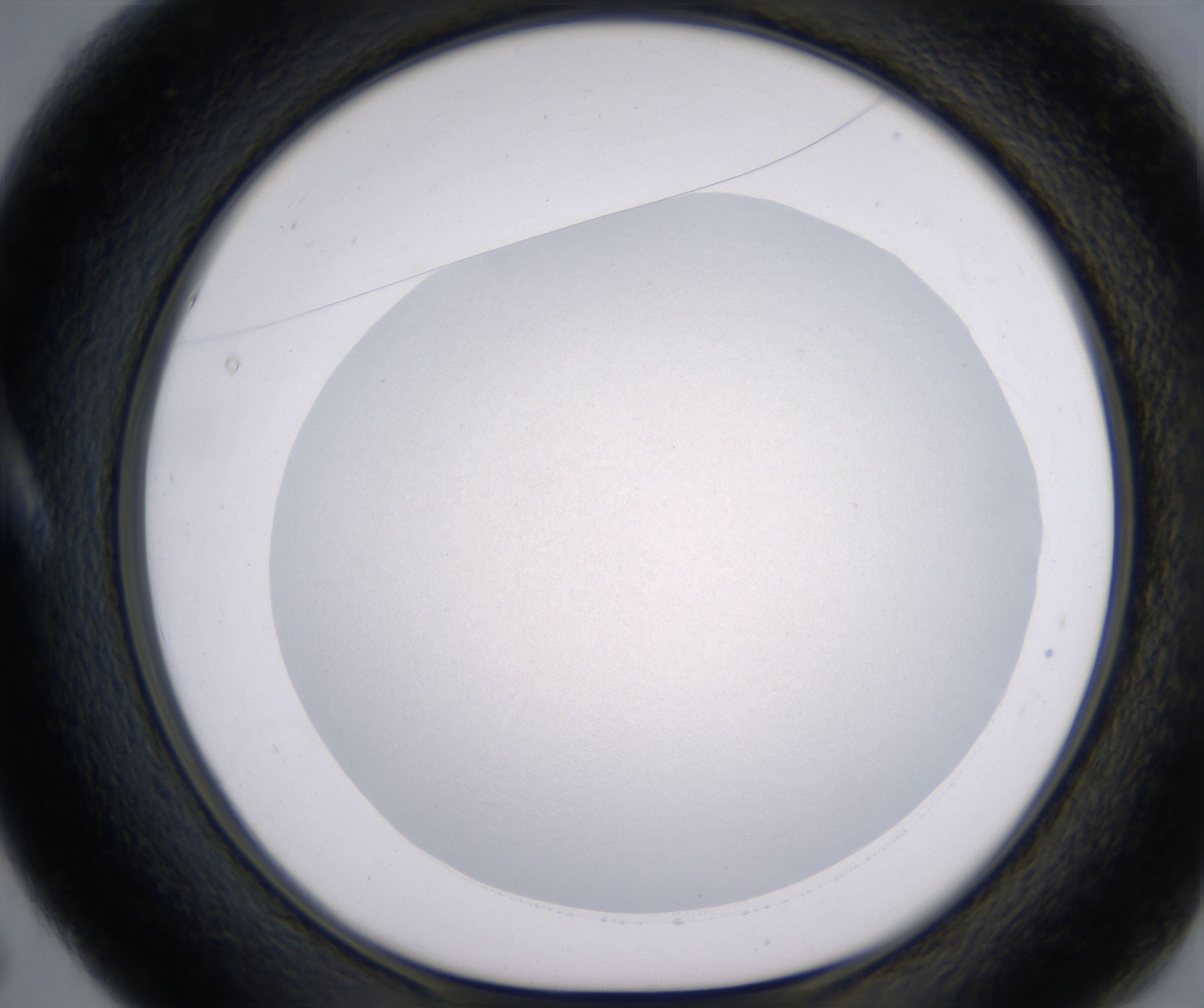 A5_HighResolution_Clear_1.jpg