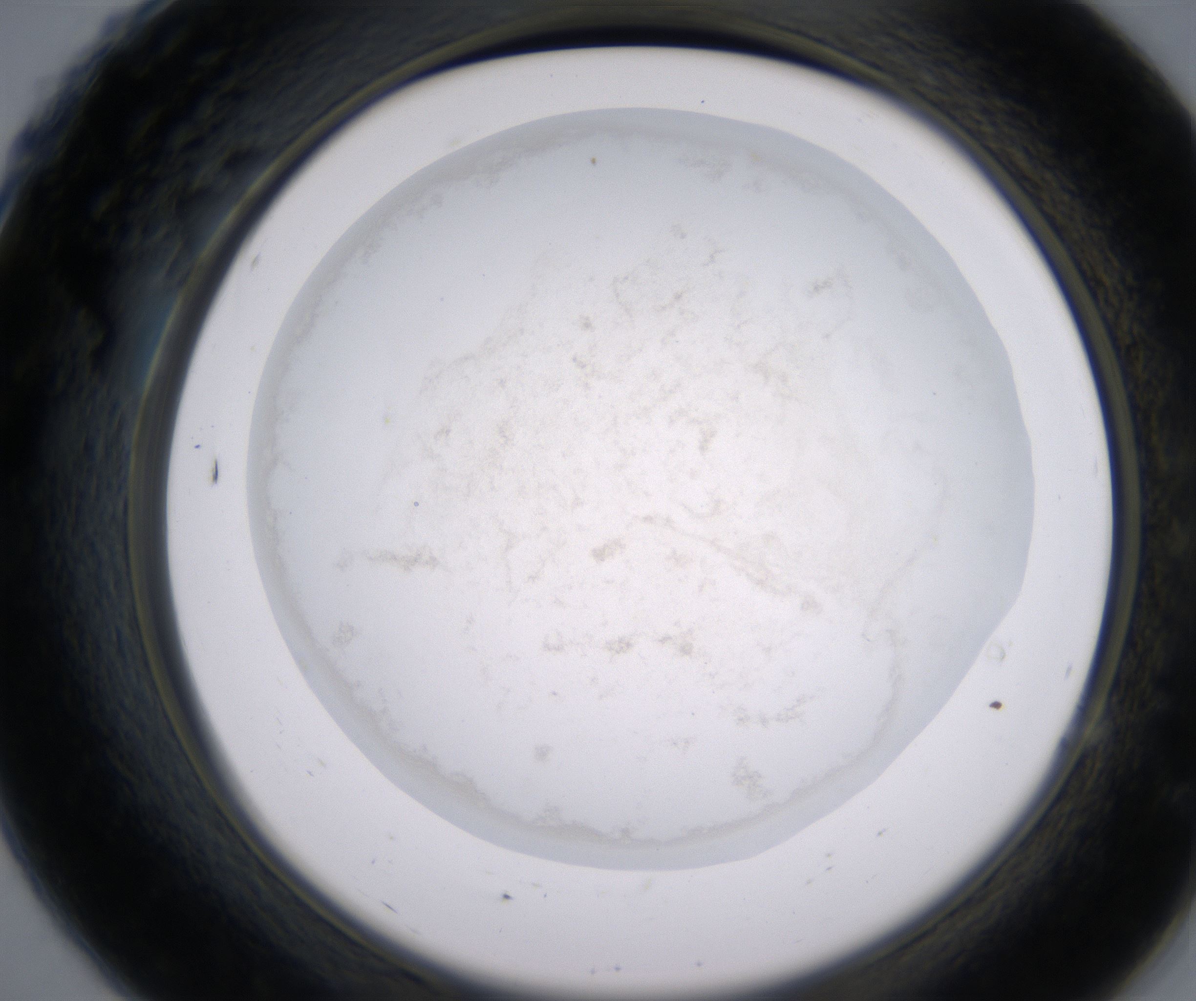 A7_HighResolution_Precipitate_2.jpg