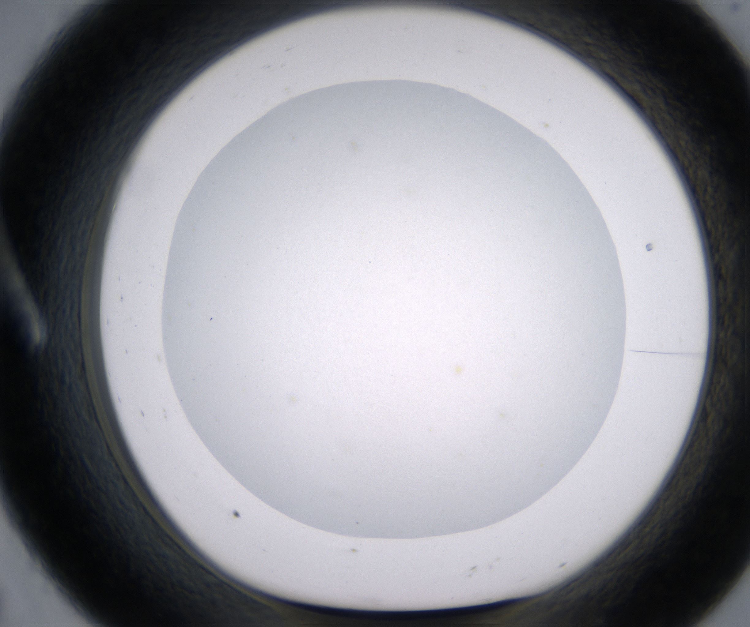 A8_HighResolution_Clear_1.jpg