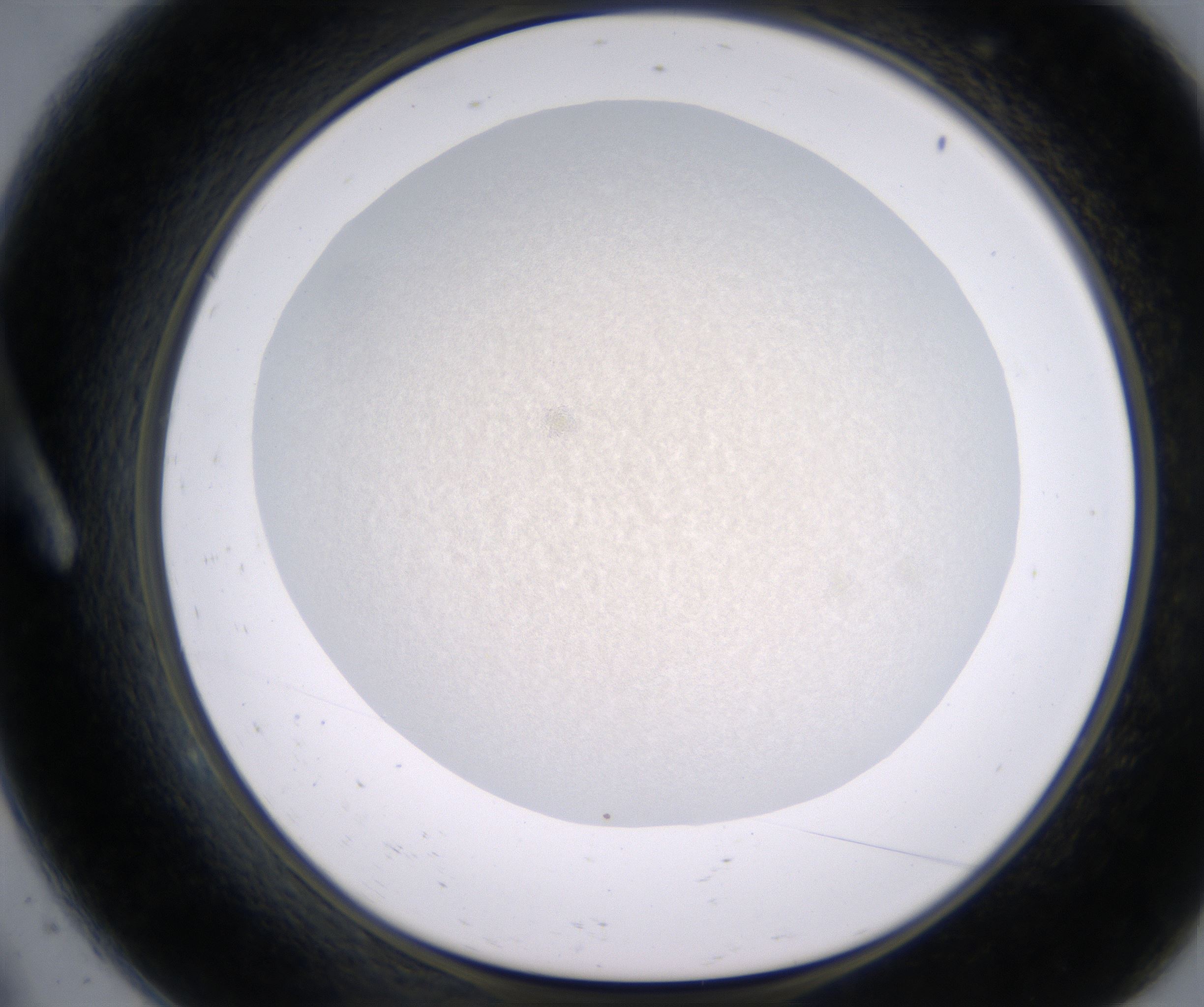 A9_HighResolution_Precipitate_1.jpg