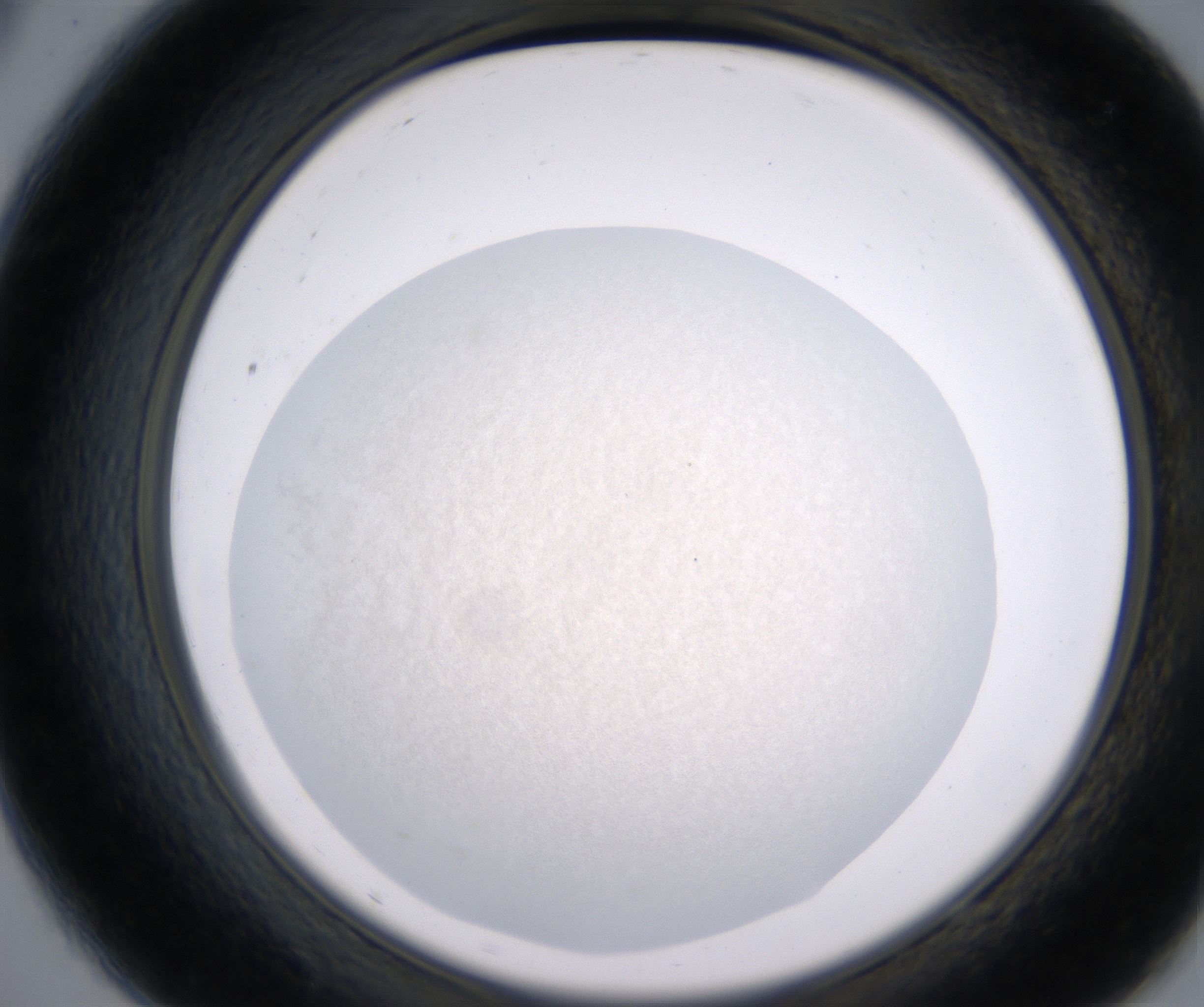 A9_HighResolution_Precipitate_2.jpg