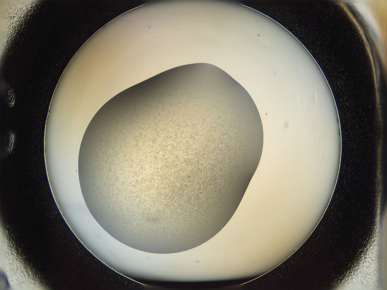 05k2_C2_ImagerDefaults_2.jpg