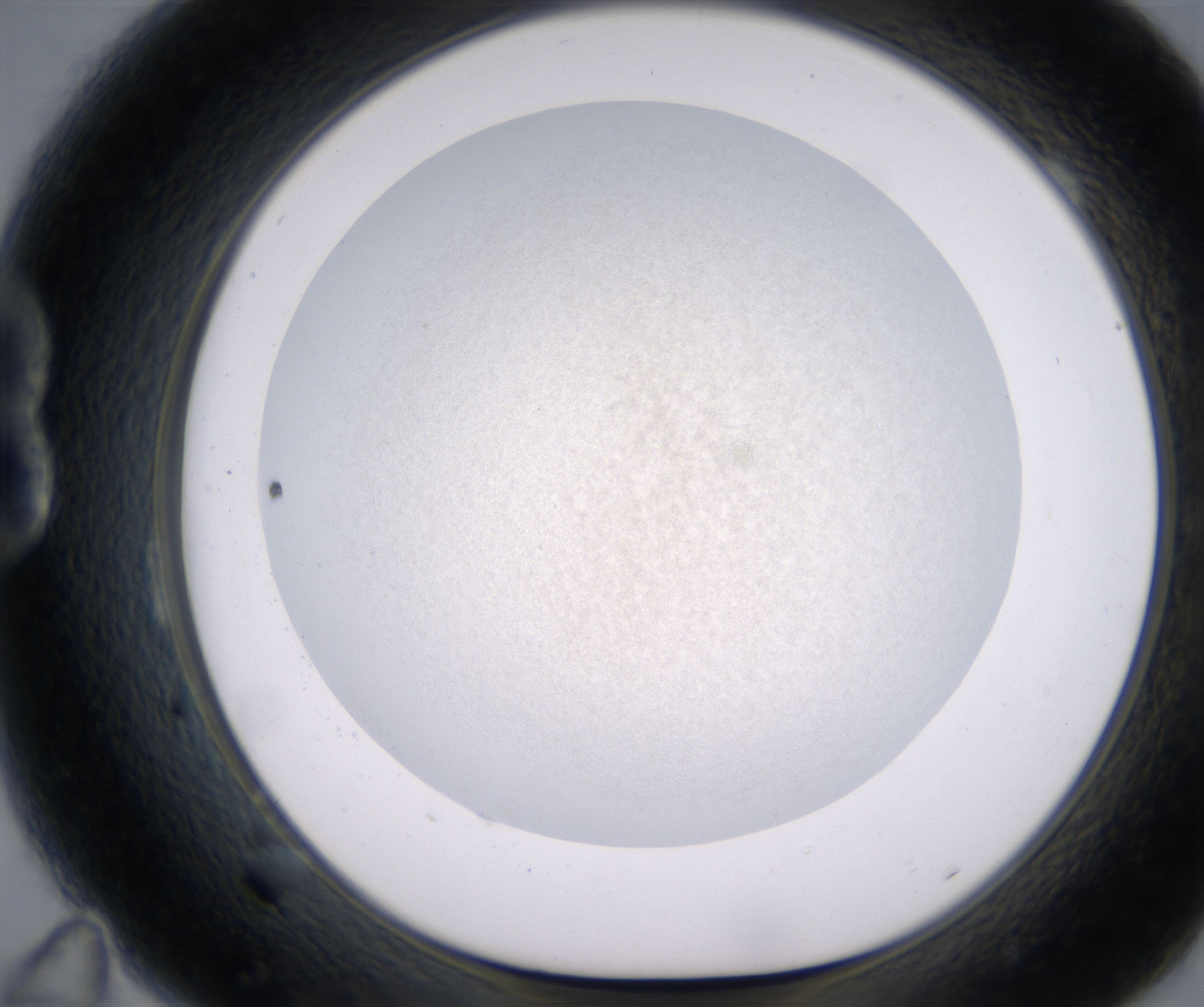 B11_HighResolution_Precipitate_1.jpg