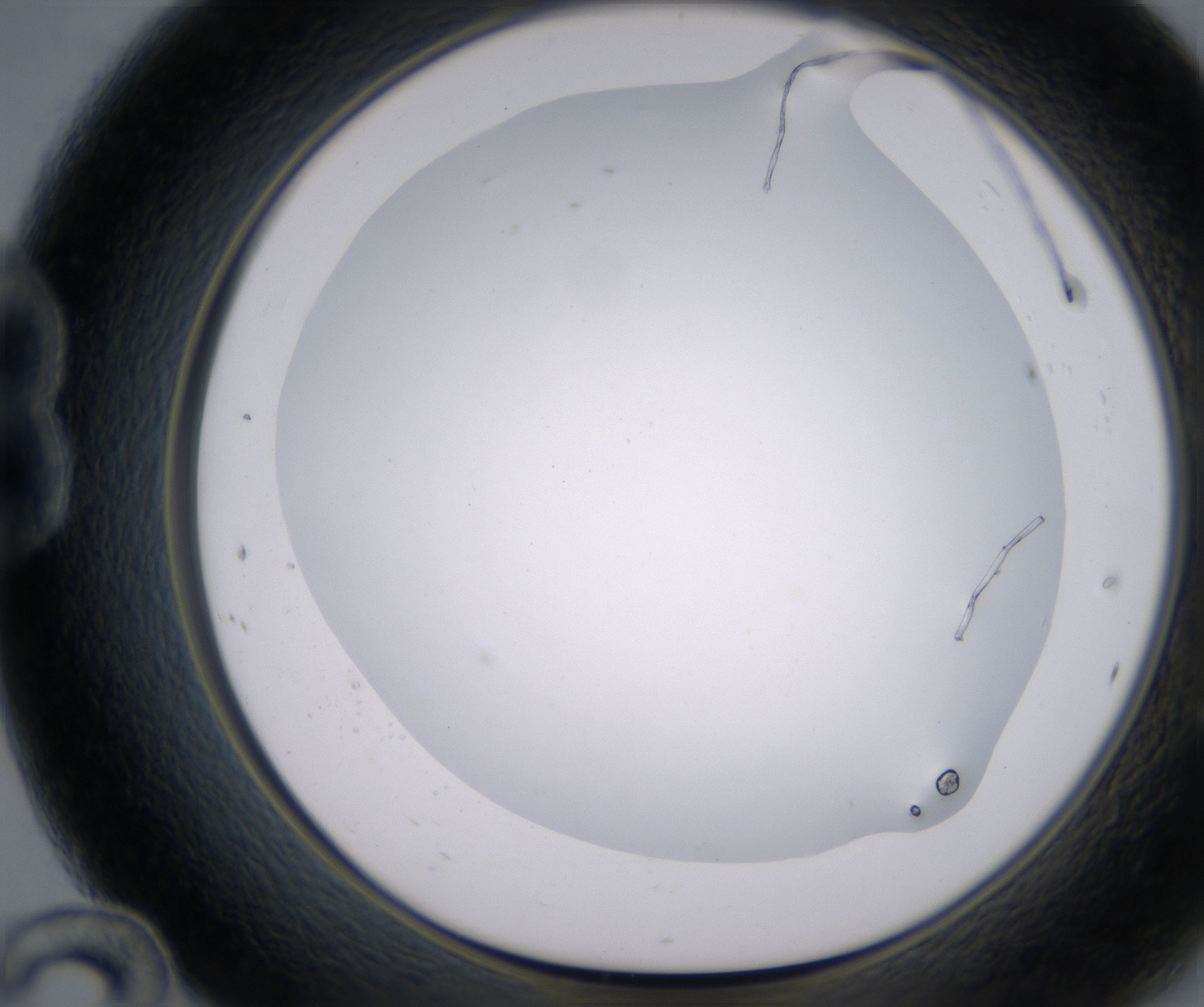B12_HighResolution_Clear_1.jpg