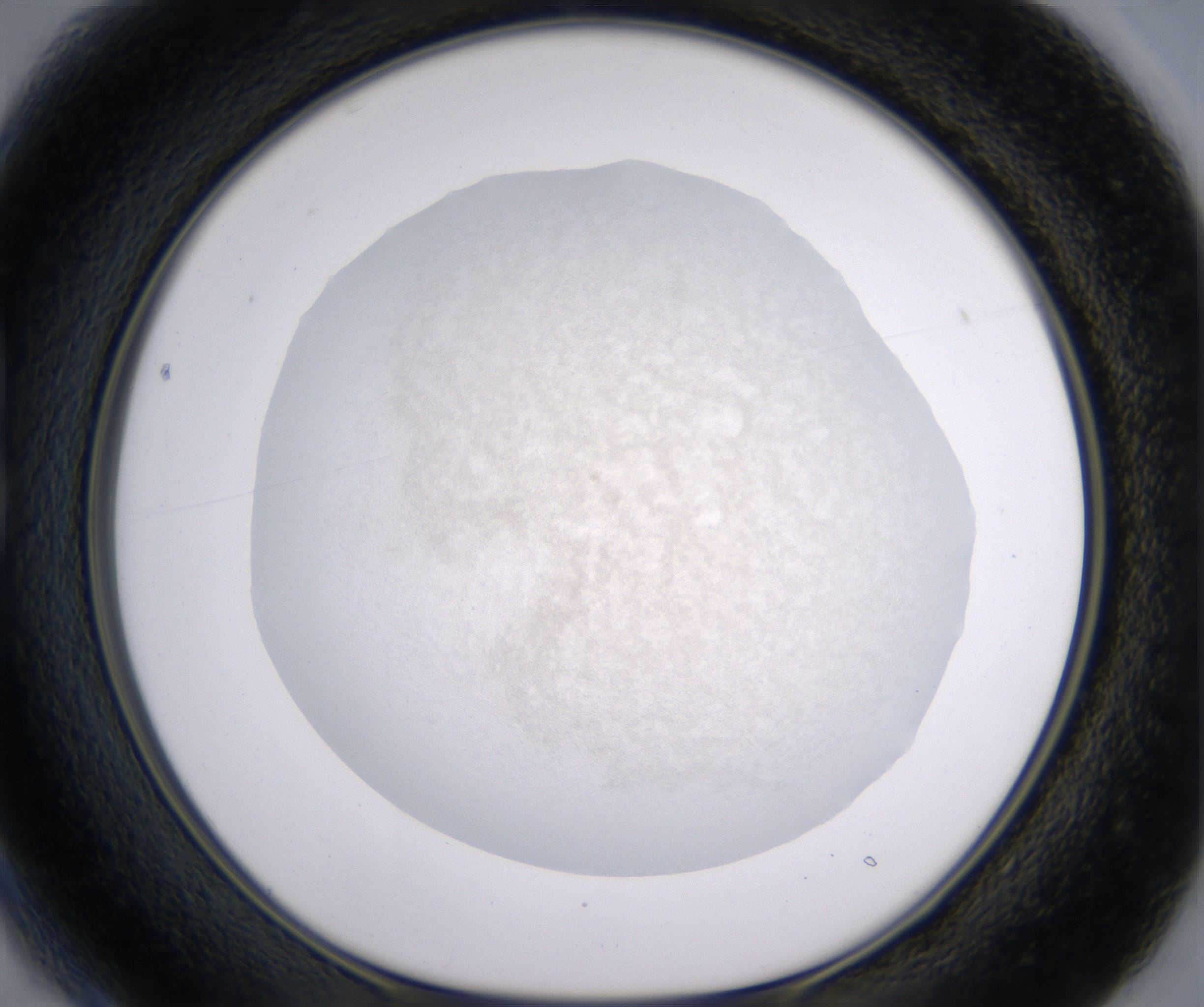 B1_HighResolution_Precipitate_1.jpg