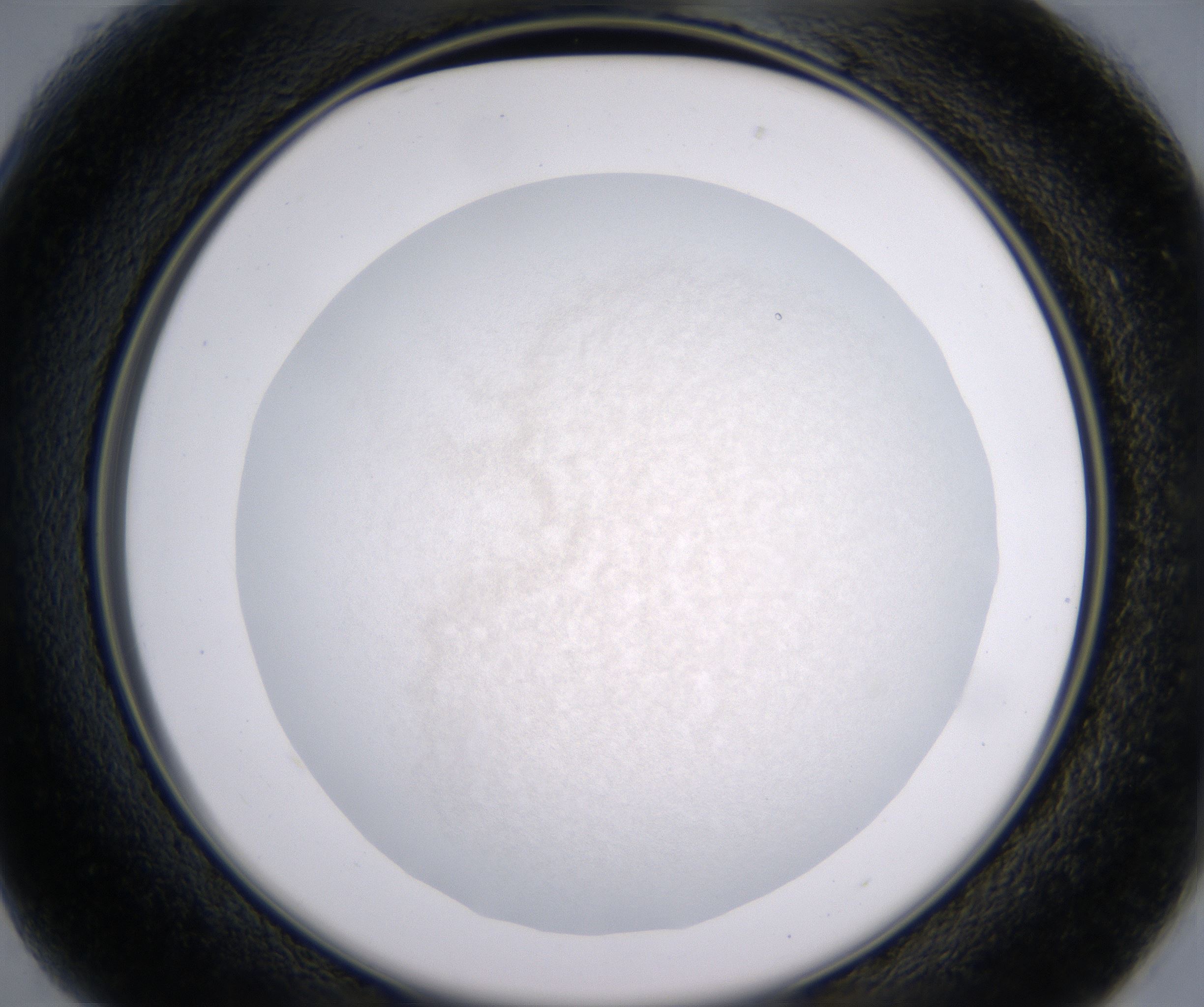B1_HighResolution_Precipitate_2.jpg