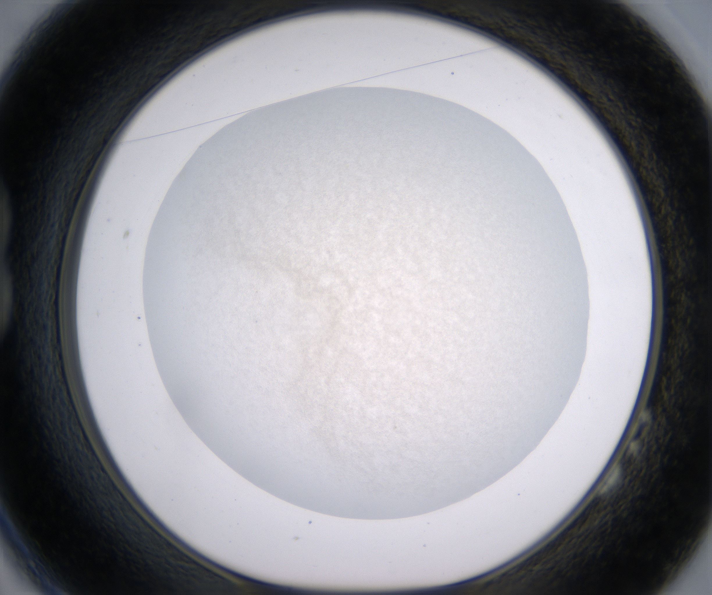 B2_HighResolution_Precipitate_1.jpg