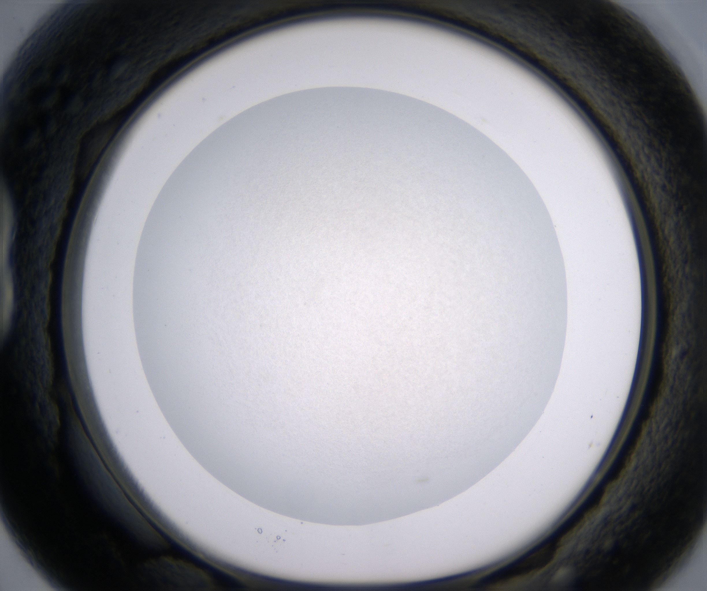 B3_HighResolution_Precipitate_1.jpg