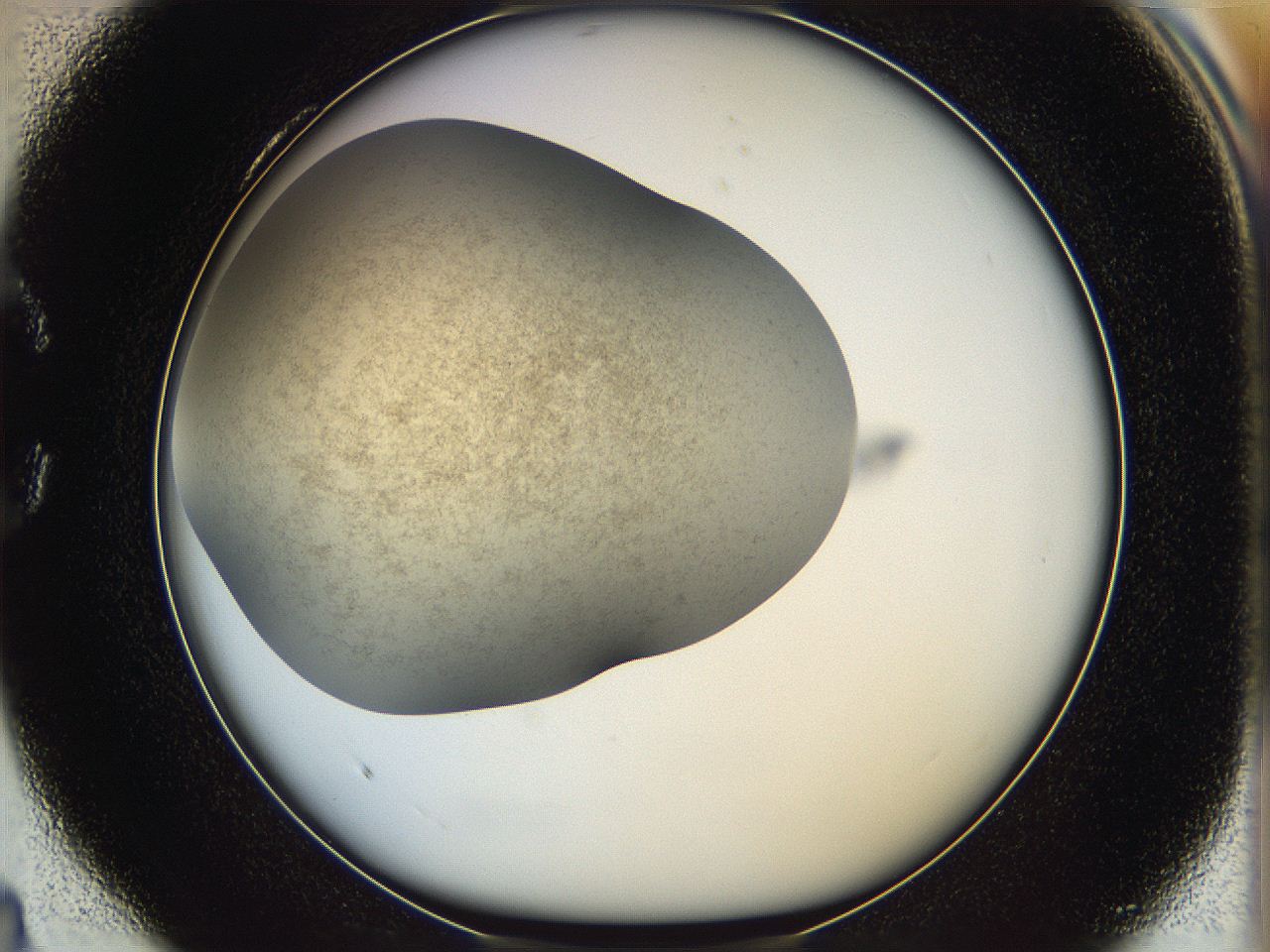 05k2_C4_ImagerDefaults_2.jpg