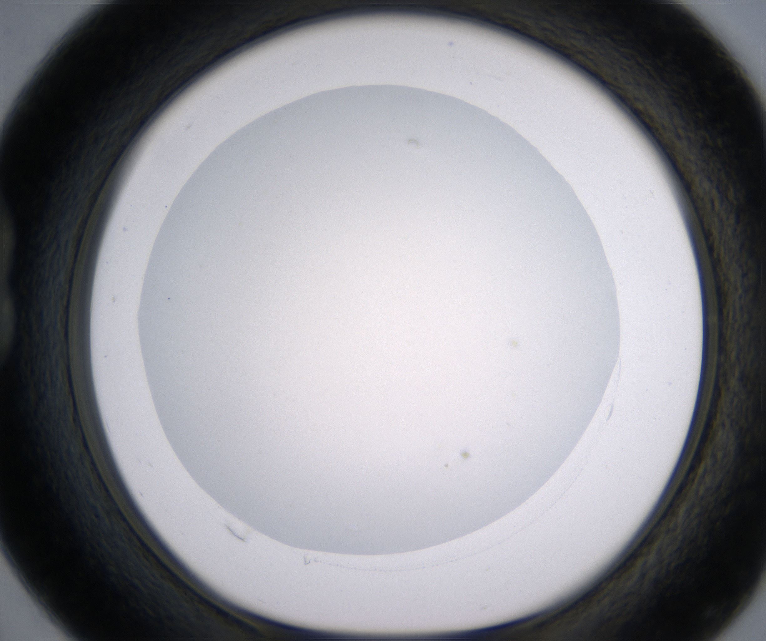 B4_HighResolution_Clear_1.jpg