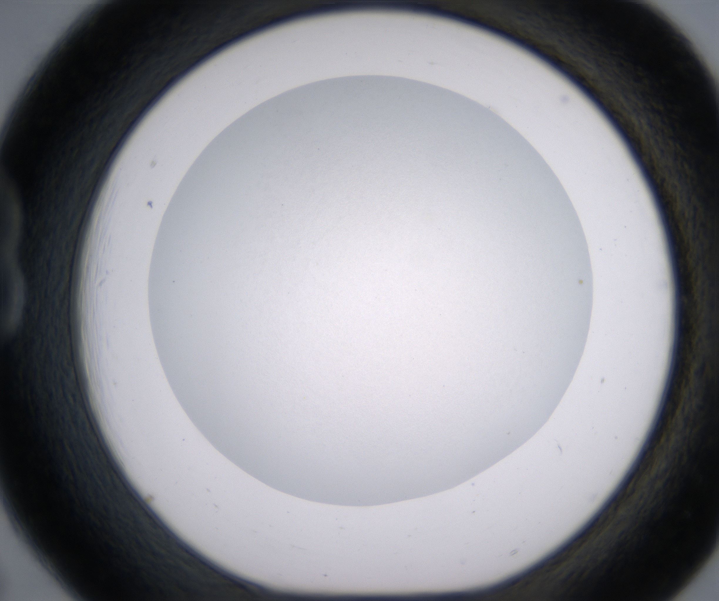 B6_HighResolution_Clear_1.jpg