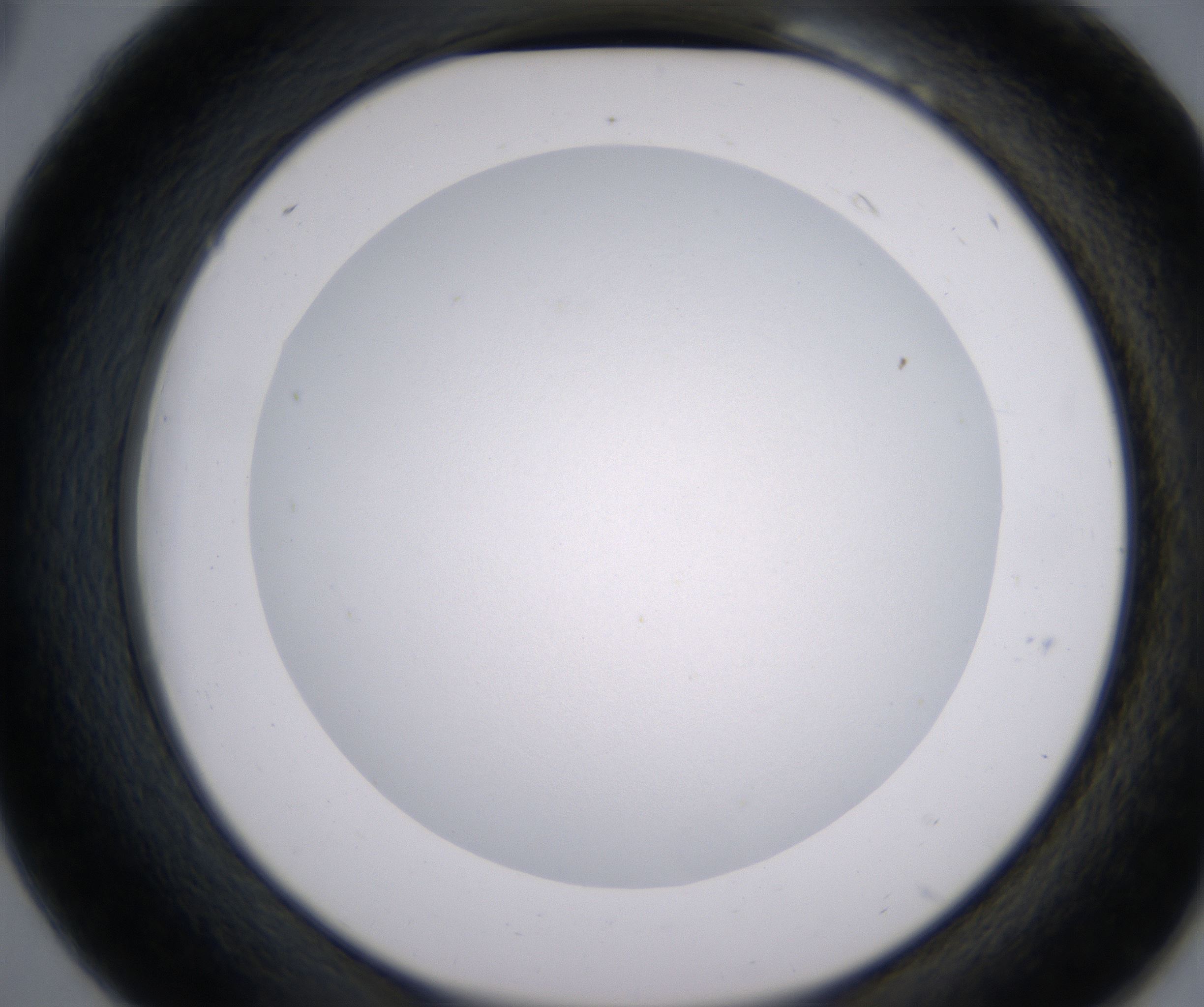 B6_HighResolution_Clear_2.jpg